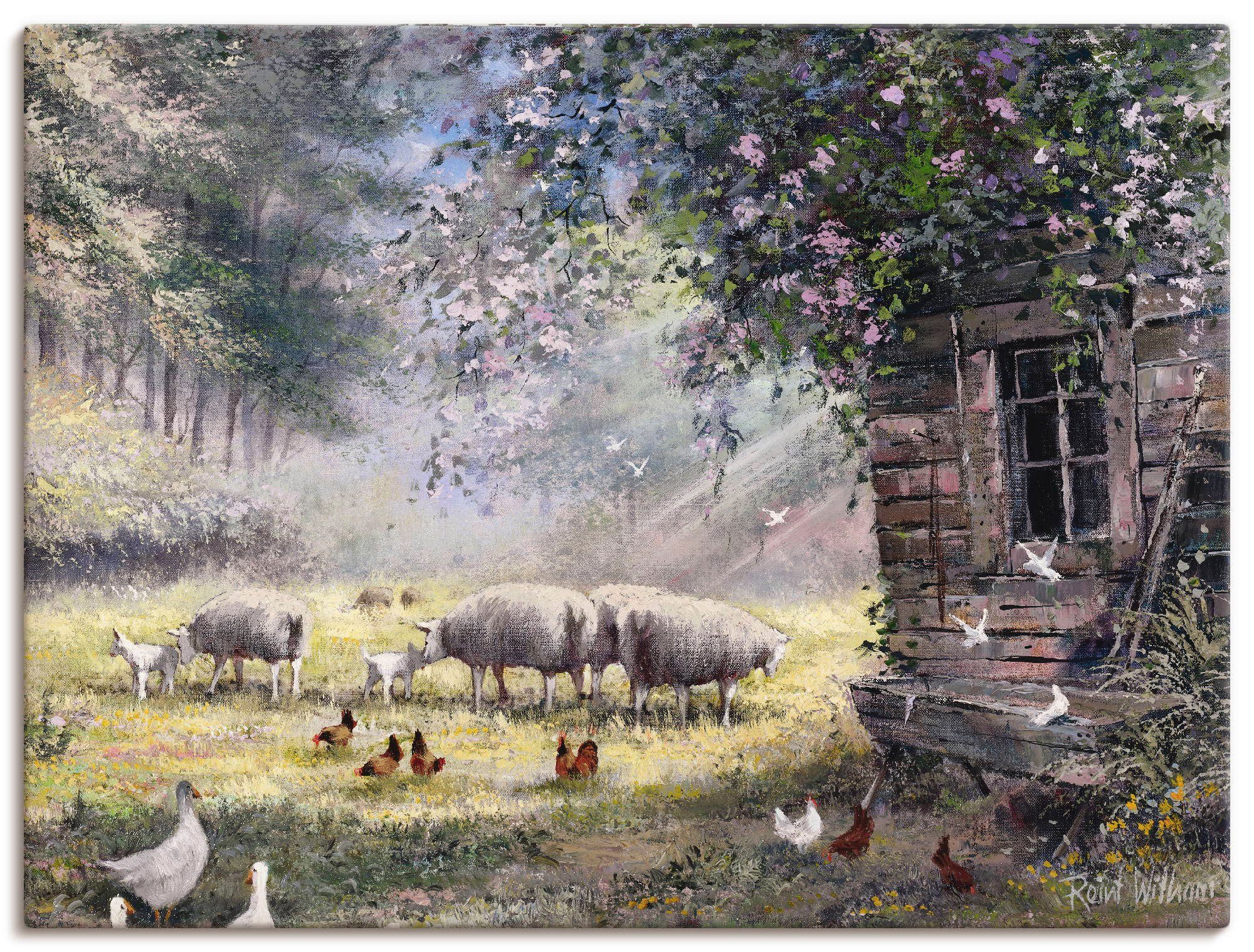 Artland artprint Hühner und Schafe