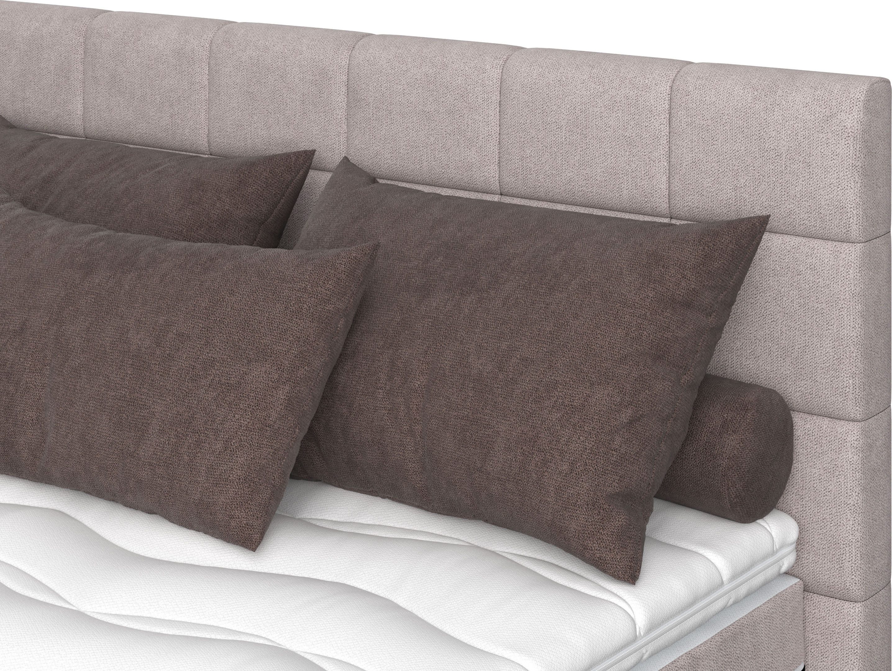 COTTA Boxspring Simba