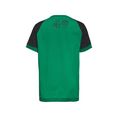 adidas performance t-shirt comfort colorblock groen