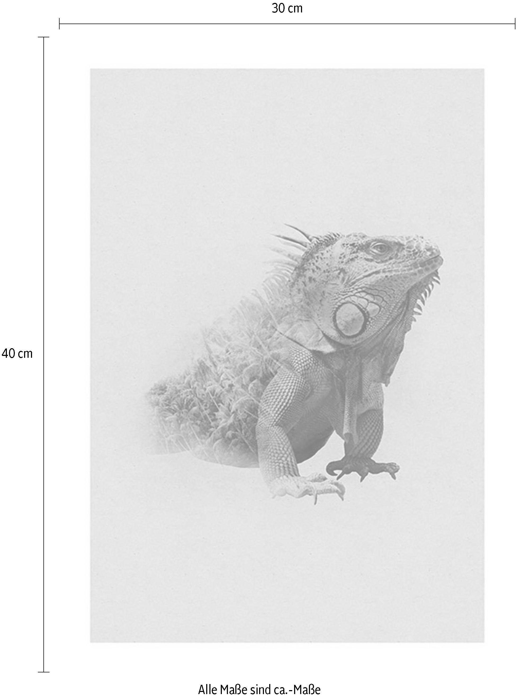 Komar Wanddecoratie Animals Paradise Iguana Wanddecoratie - zonder lijst (1 stuk)