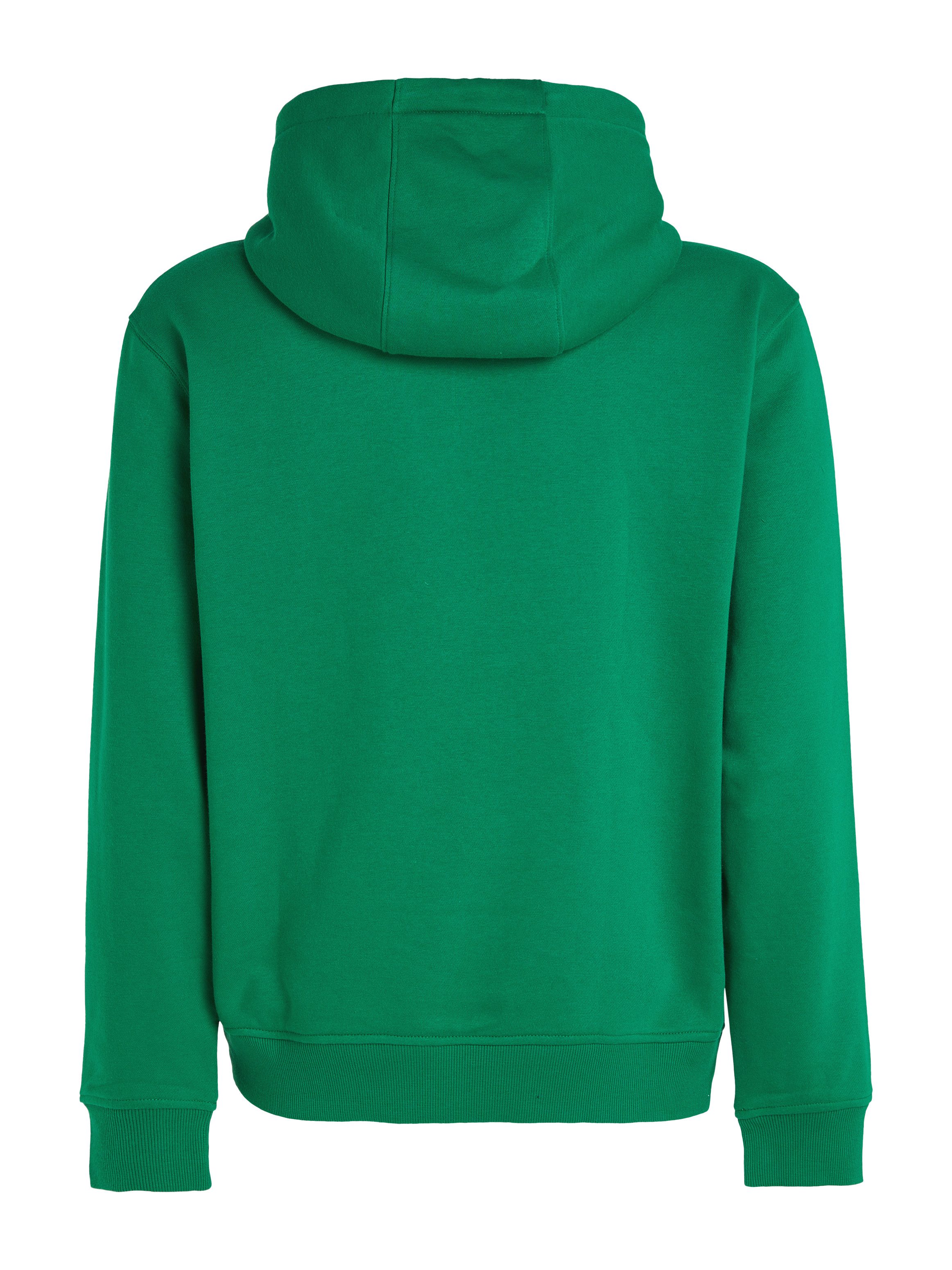 TOMMY JEANS Hoodie TJM REG S FLAG HOODIE