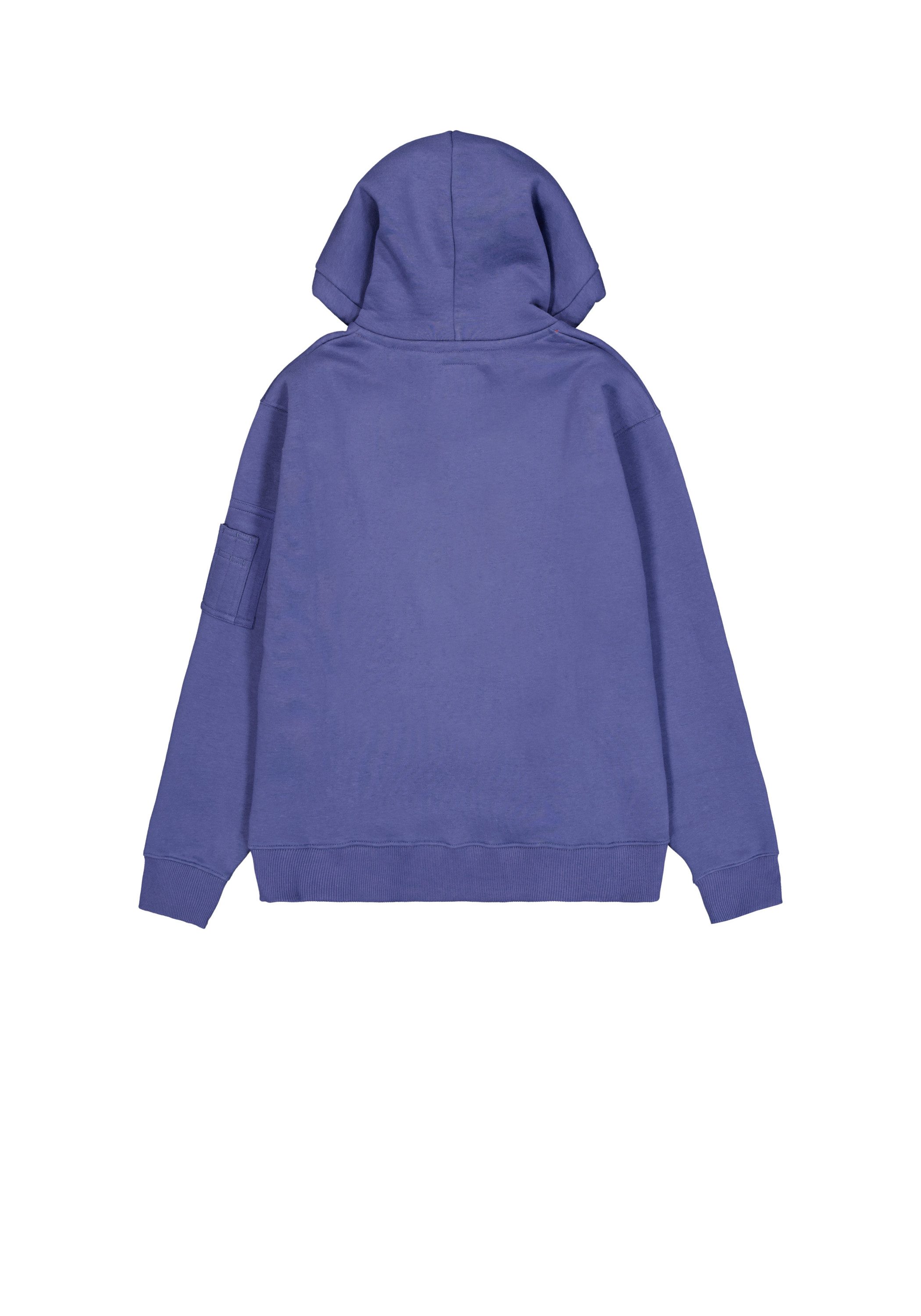 Alpha Industries Hoodie Alpha Industries Men - Hoodies Alpha Puff Print Hoodie