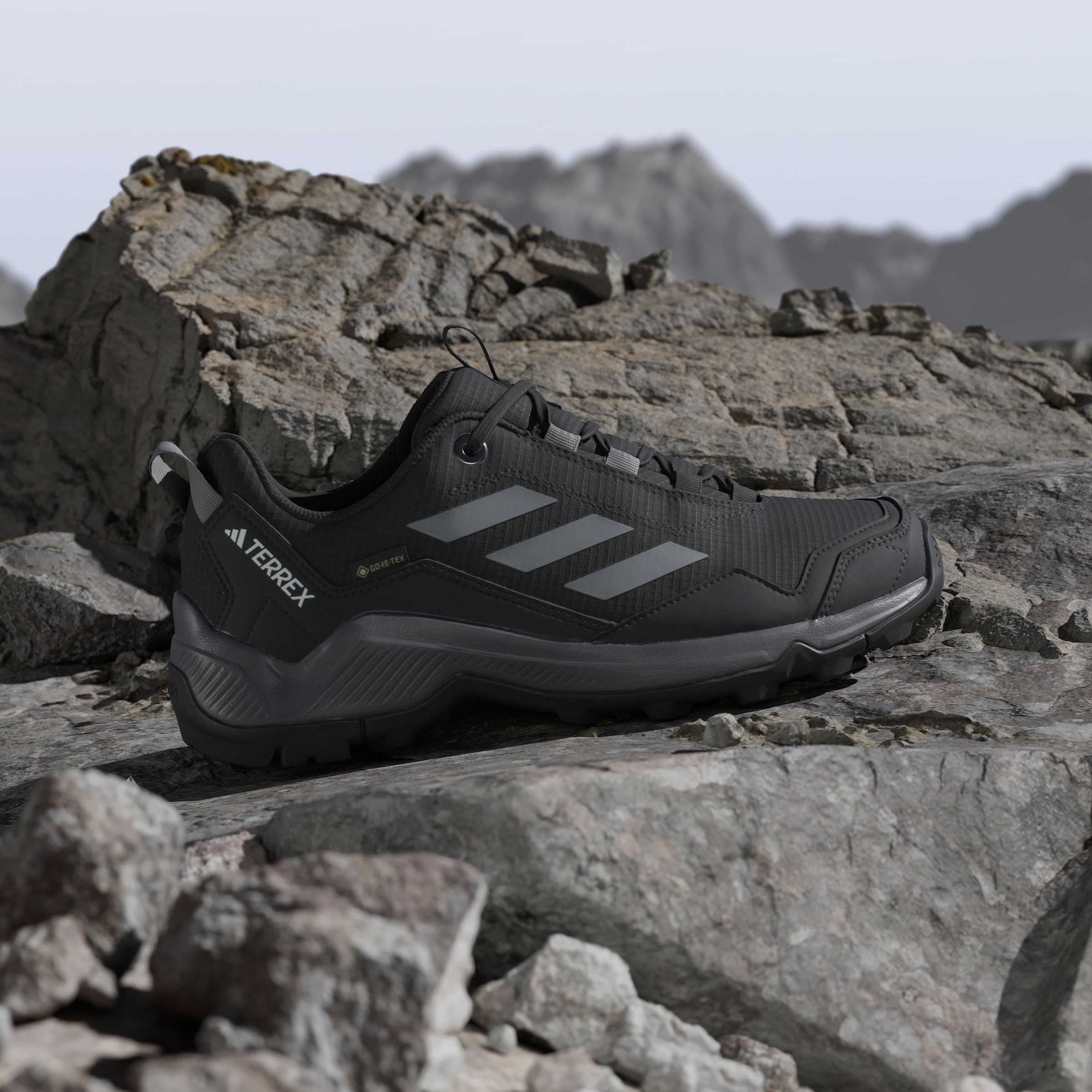 adidas TERREX Wandelschoenen TERREX EASTRAIL GORE-TEX