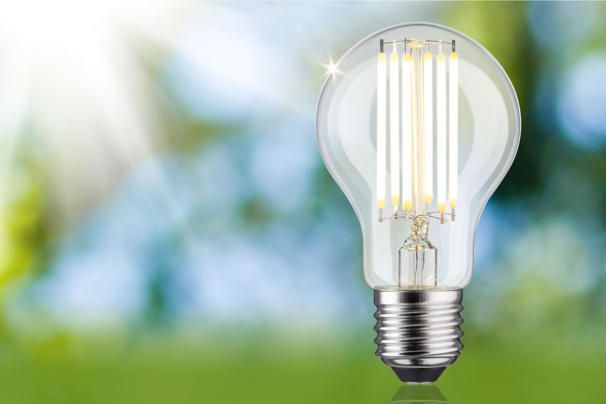Paulmann Led-verlichting Eco-Line filament 230V LED lamp E27 1-set 1055lm 5W 3000K helder (1 stuk)