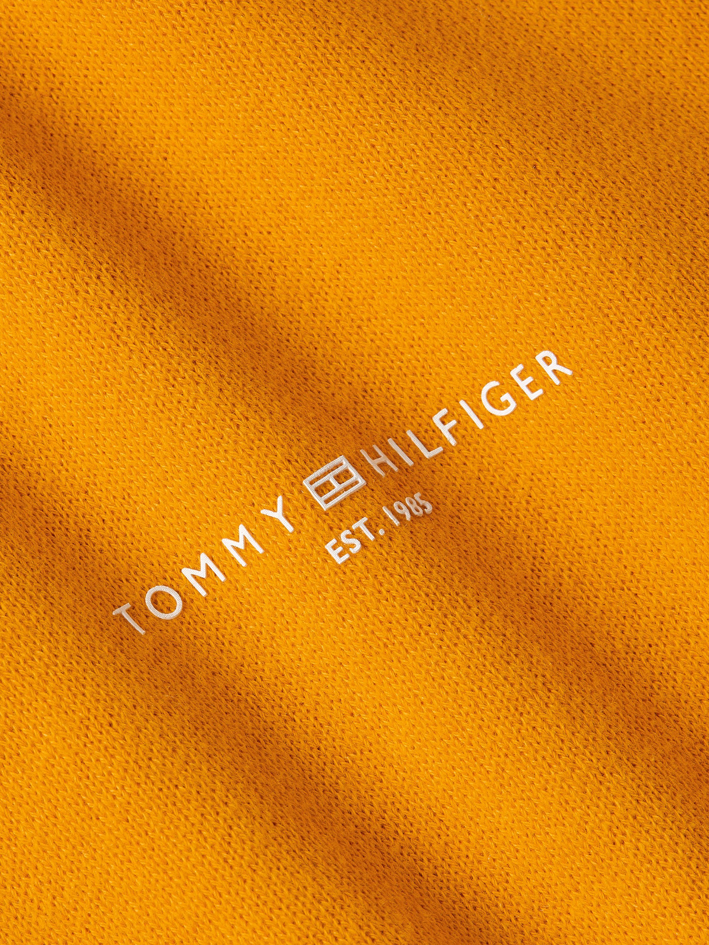 Tommy Hilfiger Hoodie 1985 RLX MINI CORP LOGO HOODIE met logo opschrift op borsthoogte