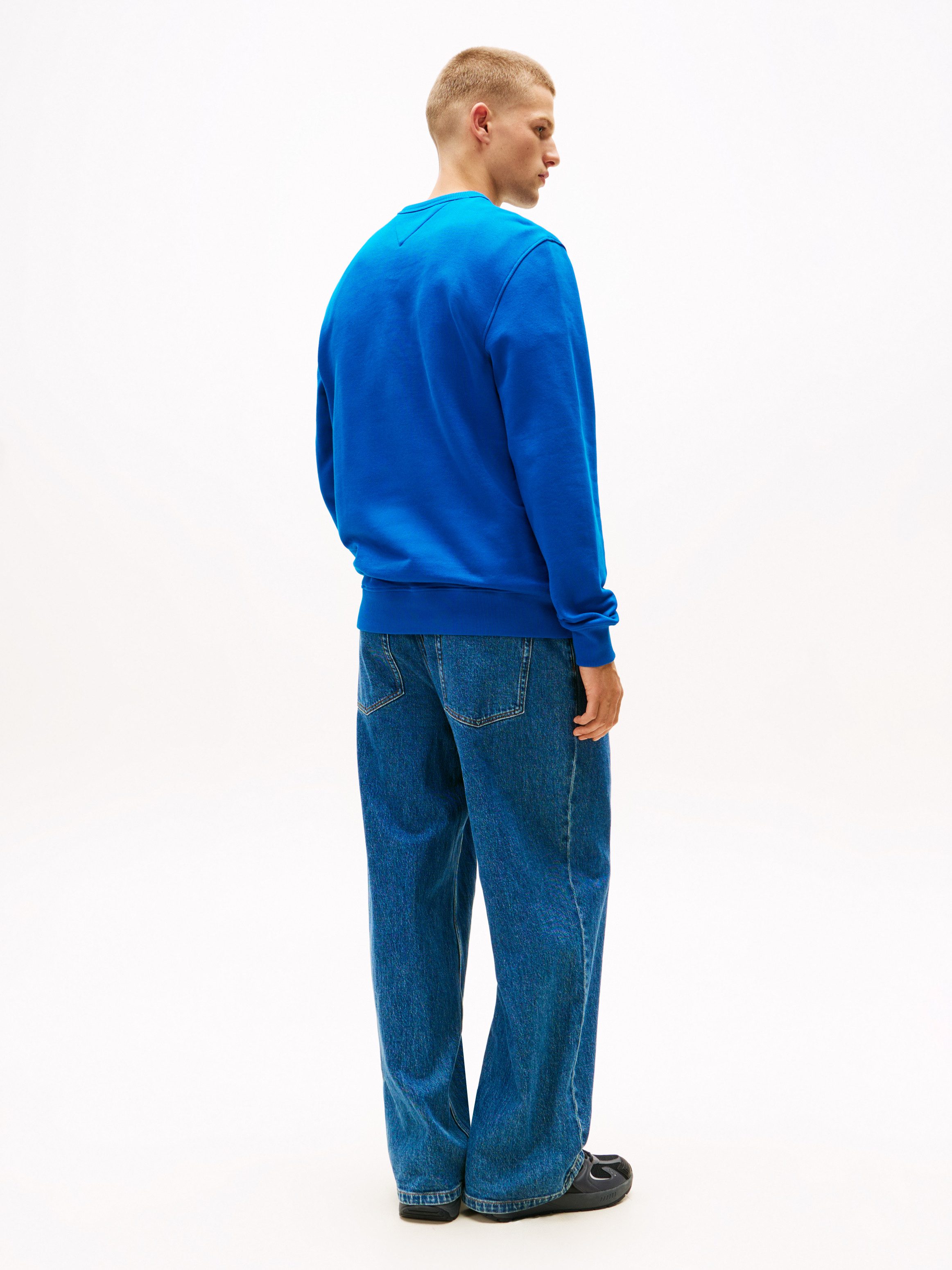 TOMMY JEANS Sweatshirt TJM REG BADGE CREW EXT
