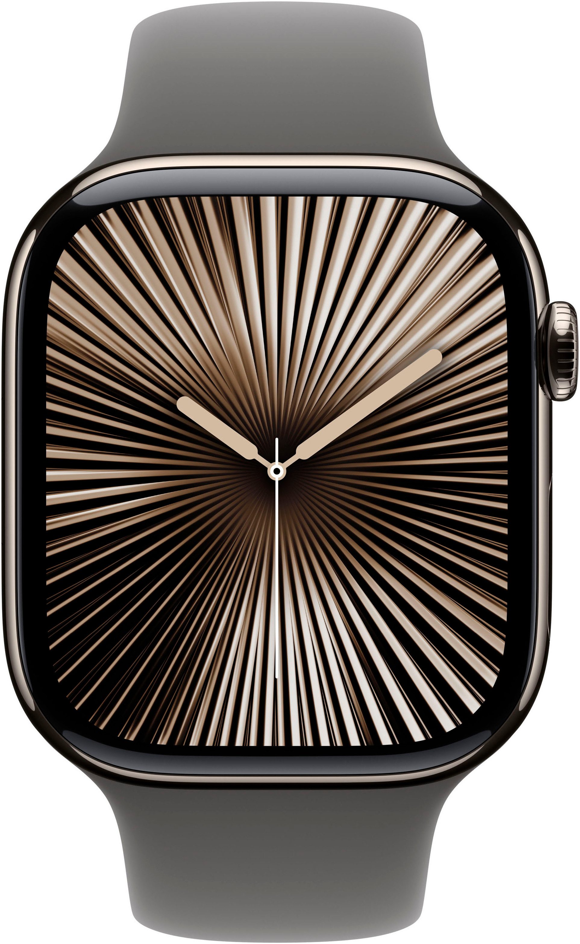 Apple Smartwatch Watch 10 Titan