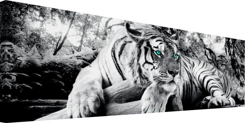 Reinders! Artprint Tijgerblik artprint tijger - roofdier - artprint woonkamer - artprint