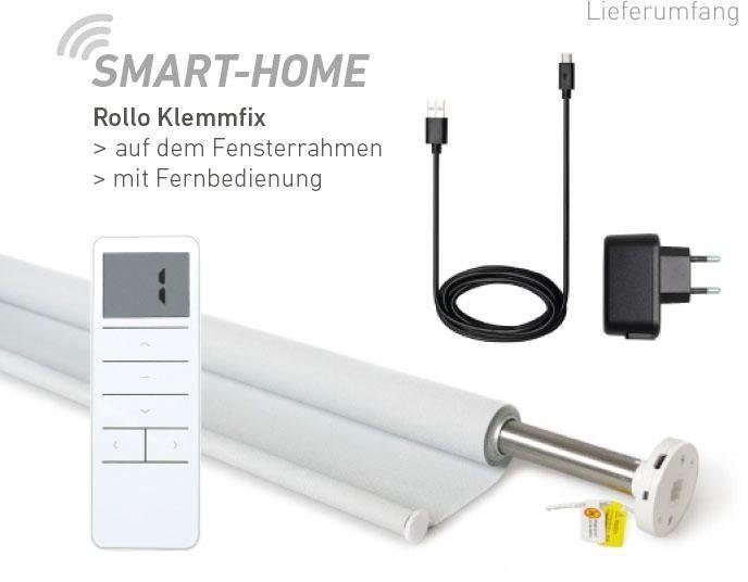 Good Life Elektrisch rolgordijn Vau - Smart Home met afstandsbediening (4 stuks)