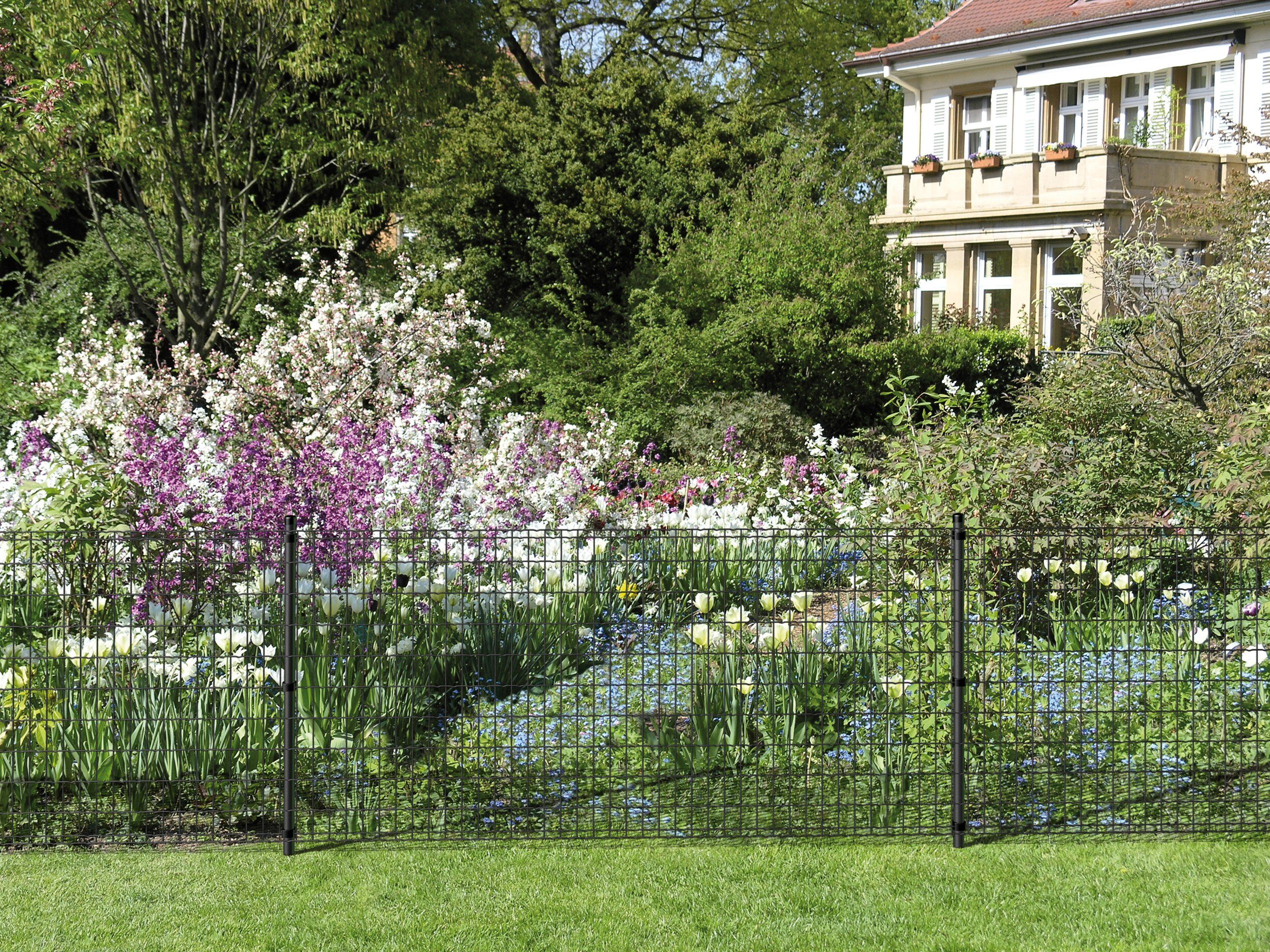 GAH Alberts Gelast gaas Fix-Clip Pro® Hoogte: 80-150cm, totale lengte: 10 en 25m, met grondbussen (set)