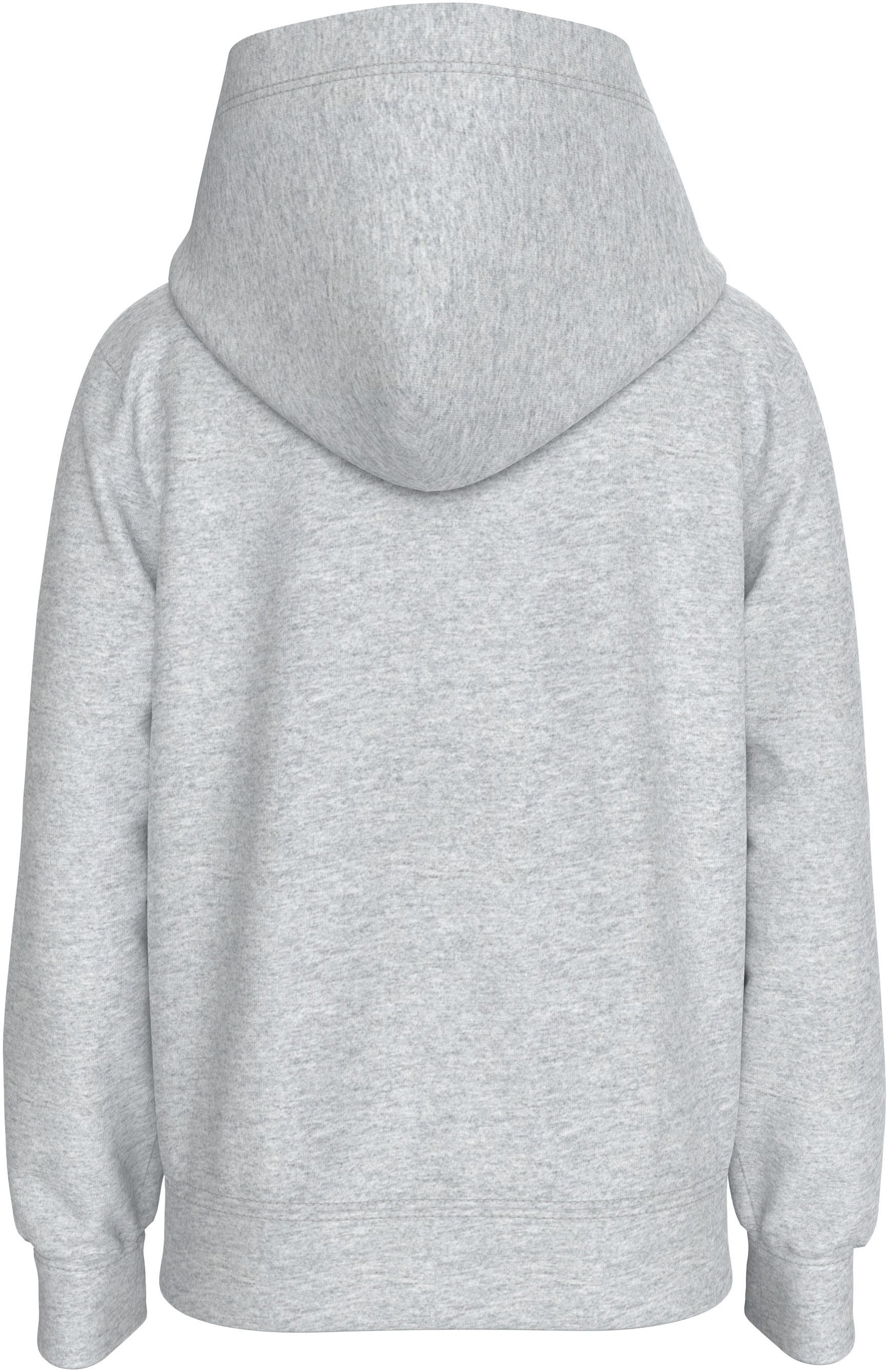Calvin Klein Hoodie INST. LOGO REG. TERRY HOODIE voor kinderen tot 16 jaar en met logo-opdruk