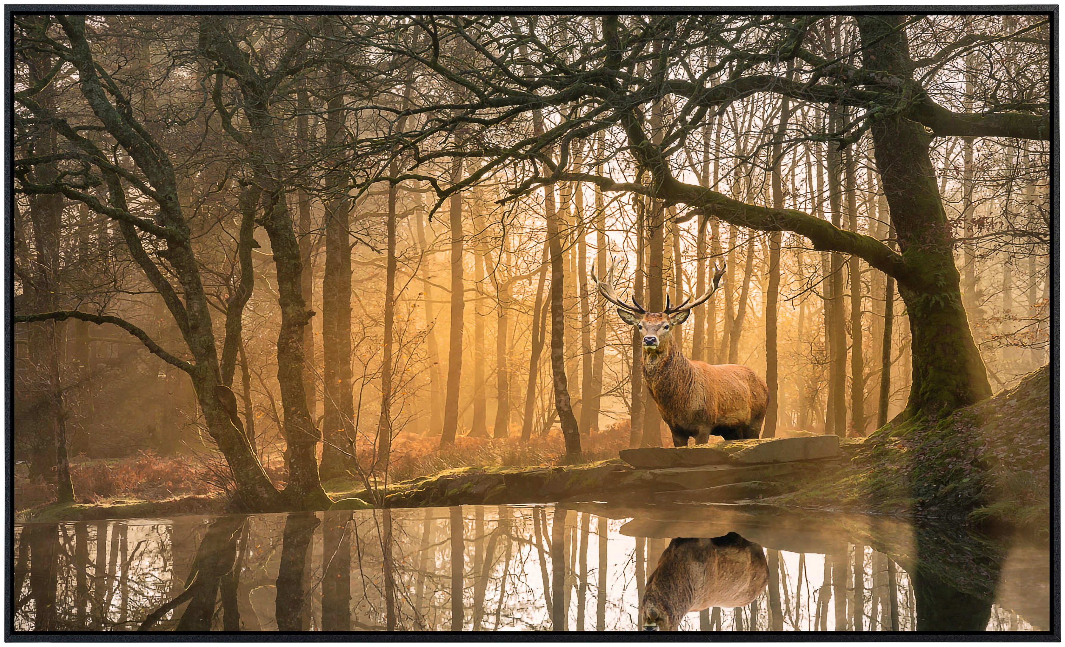 Papermoon Infraroodverwarming Edelhert in het bos zeer aangename stralingswarmte