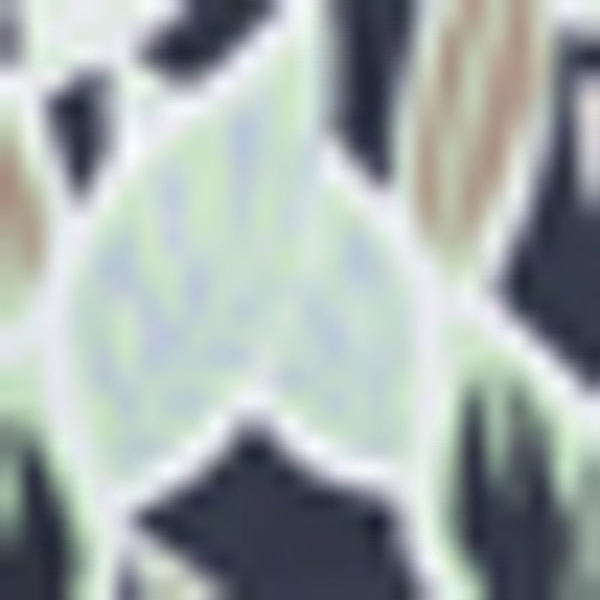 HUGO underwear Zwemshort CALALA met tropisch patroon