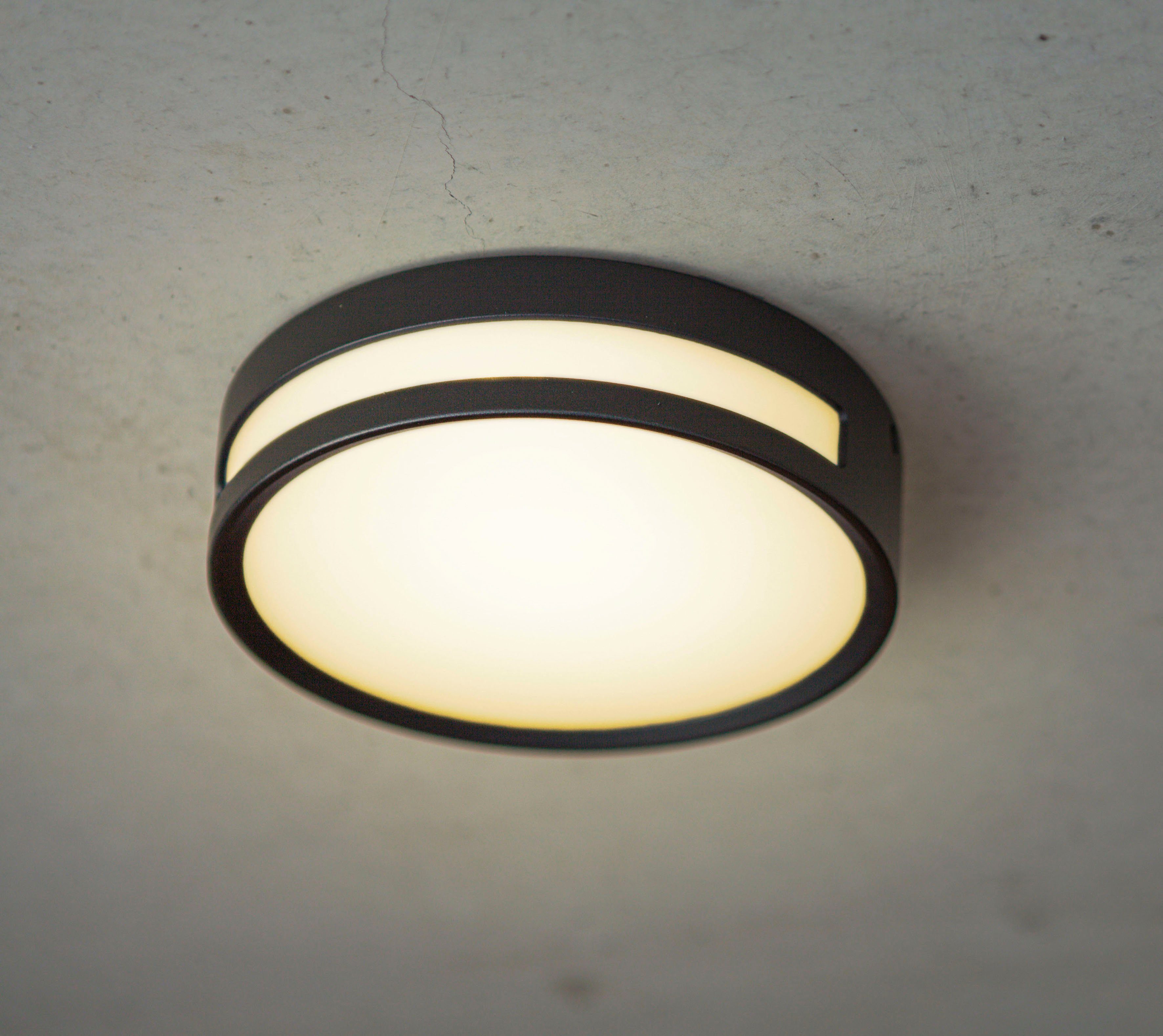 LUTEC Ledwandlamp voor buiten ROLA (1 stuk)
