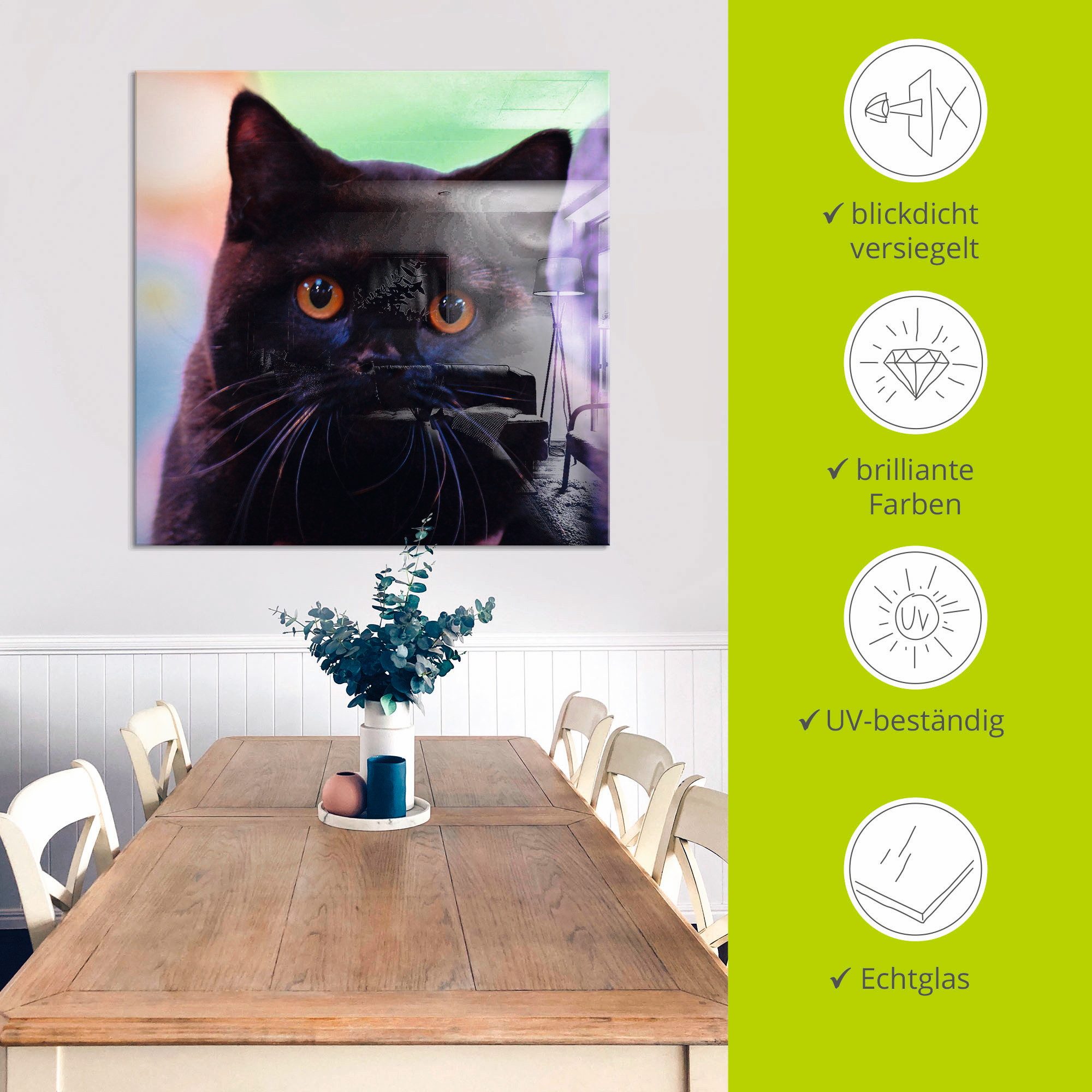 Artland Print op glas Zwarte Britse korthaar kat