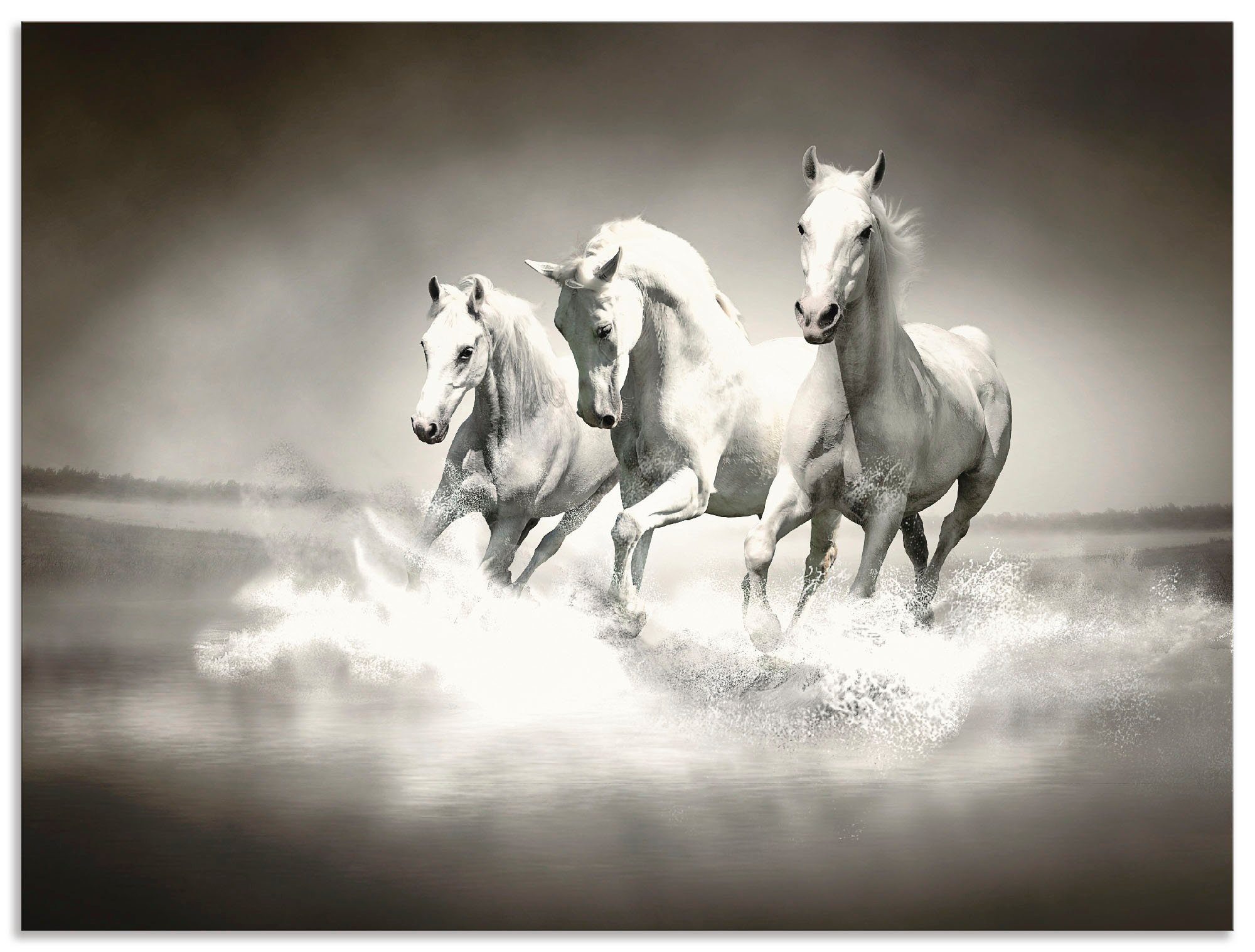 Artland Artprint Kudde van witte paarden in vele afmetingen & productsoorten - artprint van aluminium / artprint voor buiten, artprint op linnen, poster, muursticker / wandfolie oo