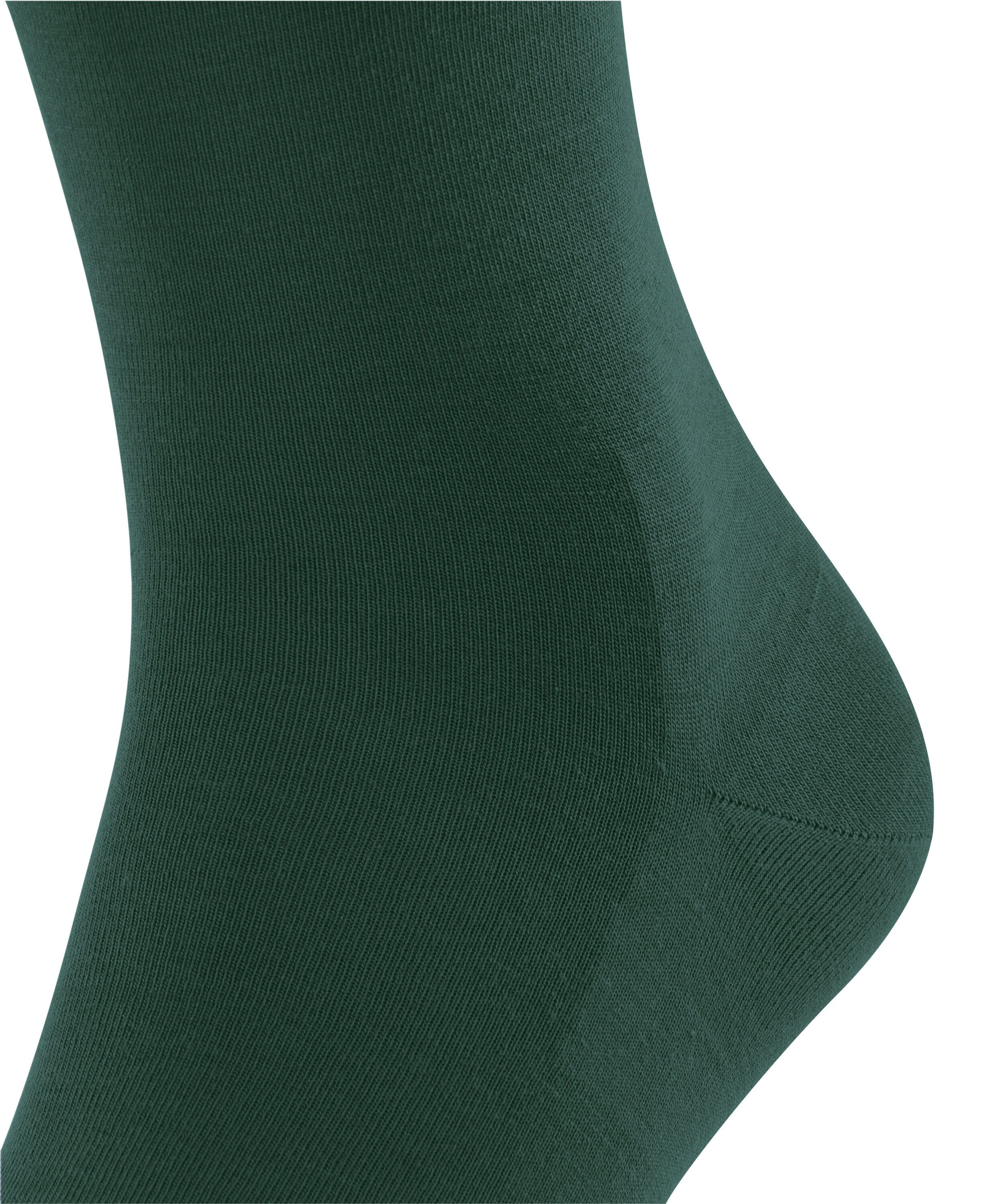 FALKE Sokken ClimaWool