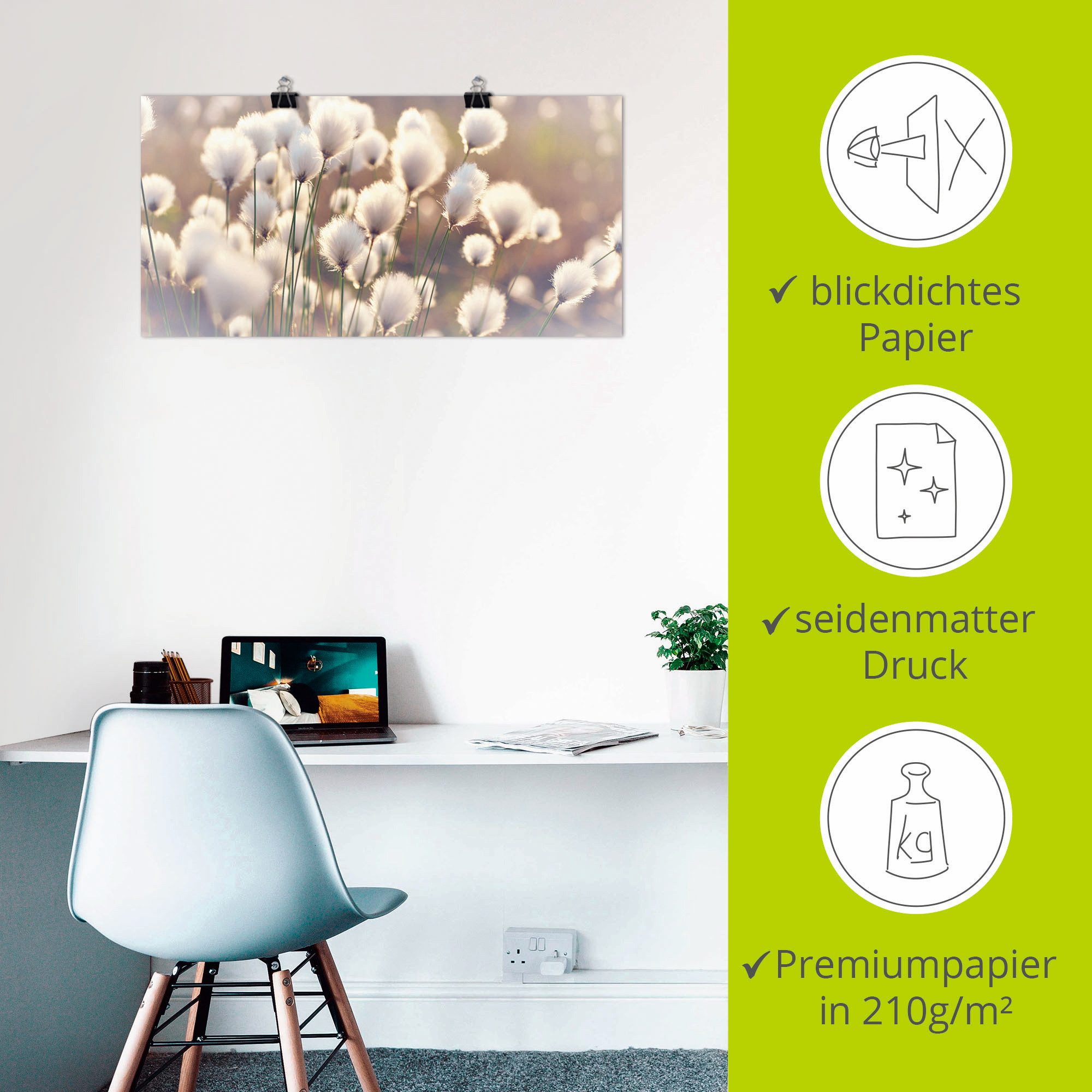 Artland Artprint Wolgrasmagie in het veen als artprint van aluminium, artprint voor buiten, artprint op linnen, poster, muursticker
