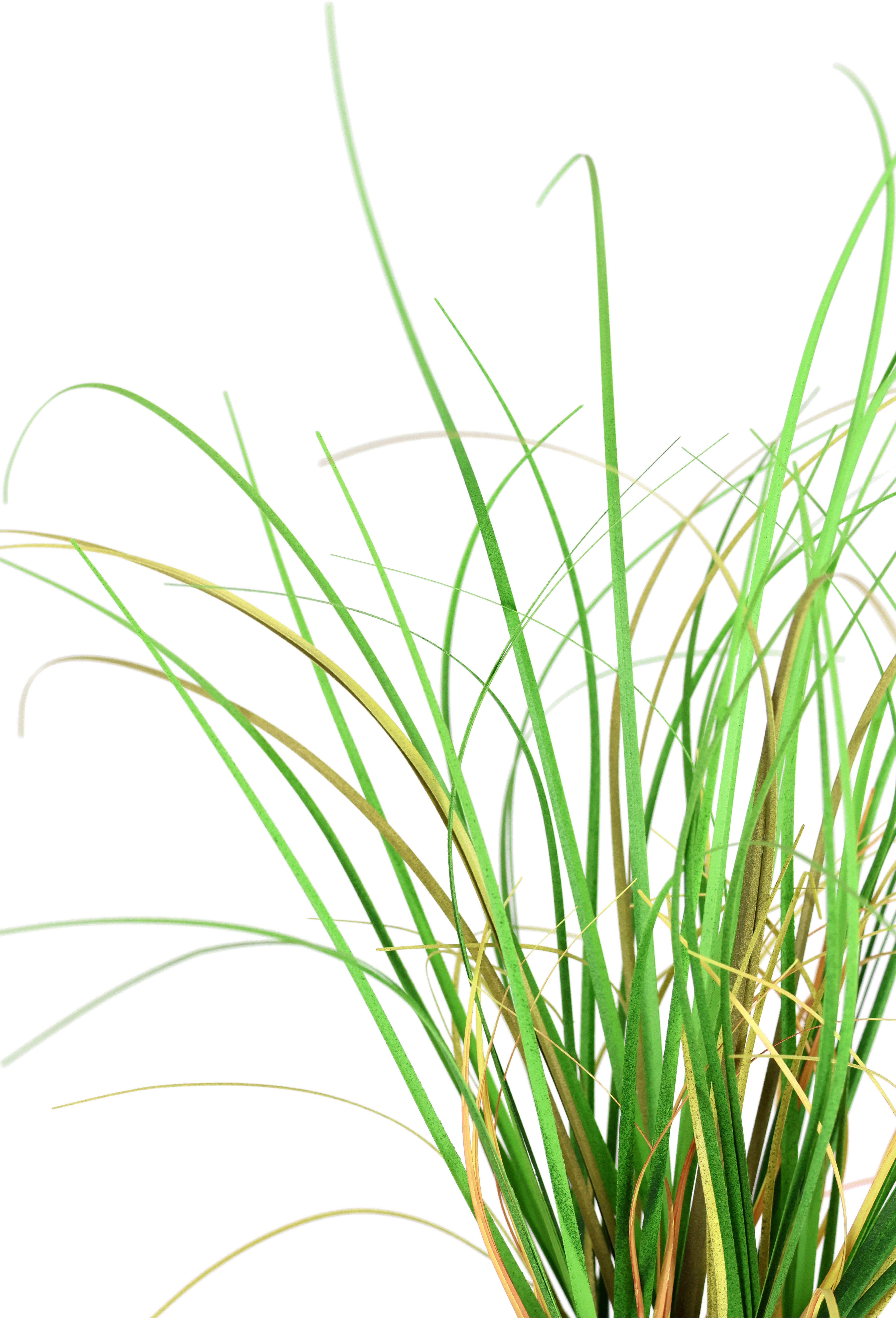 I.GE.A. Kunstplant Gras in takken Kunstmatige grasstruik, 2-delige set (2 stuks)