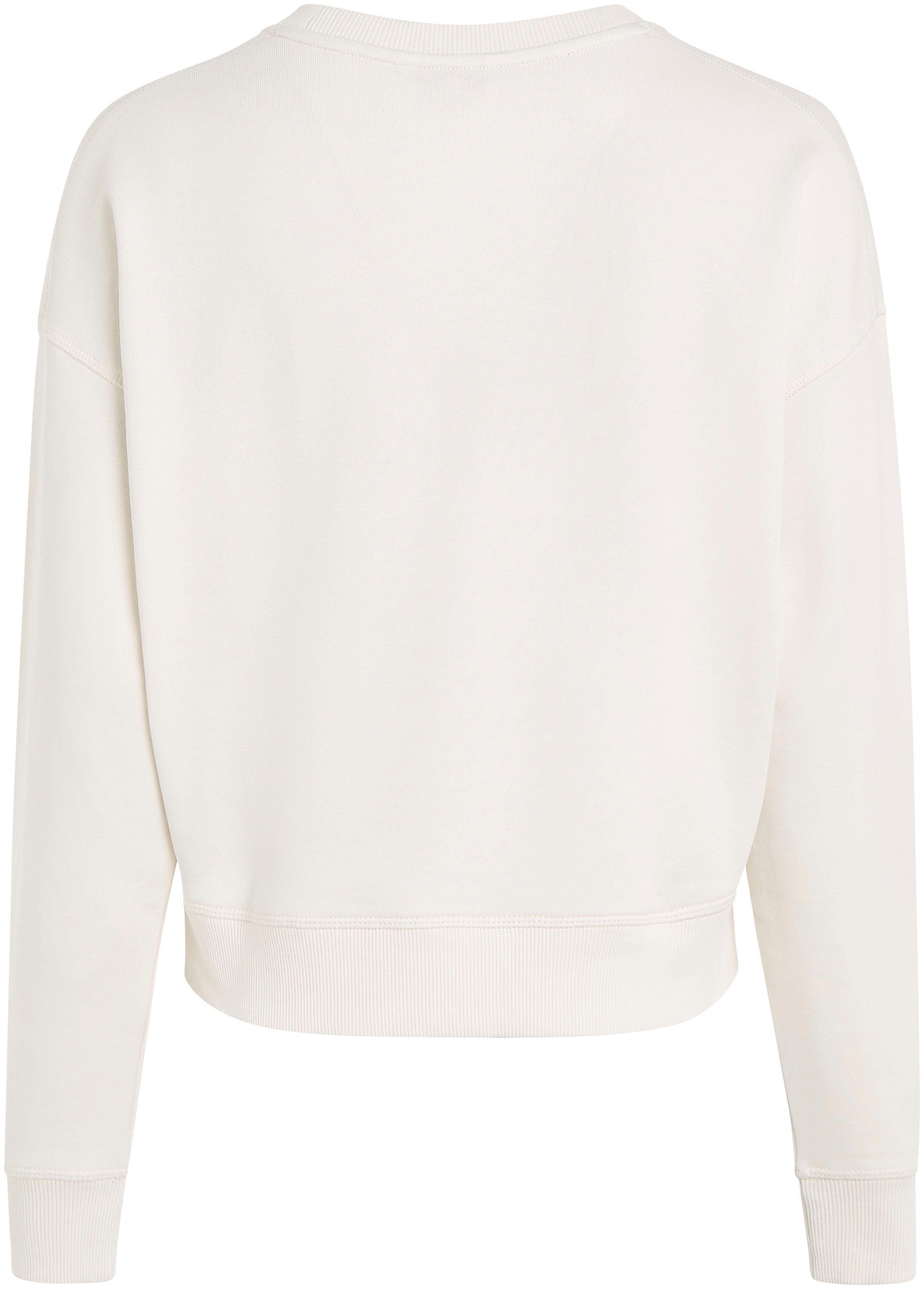 Tommy Hilfiger Sweatshirt REG MONOTYPE EMB SWEATSHIRT met opvallend geborduurd hilfiger-logo