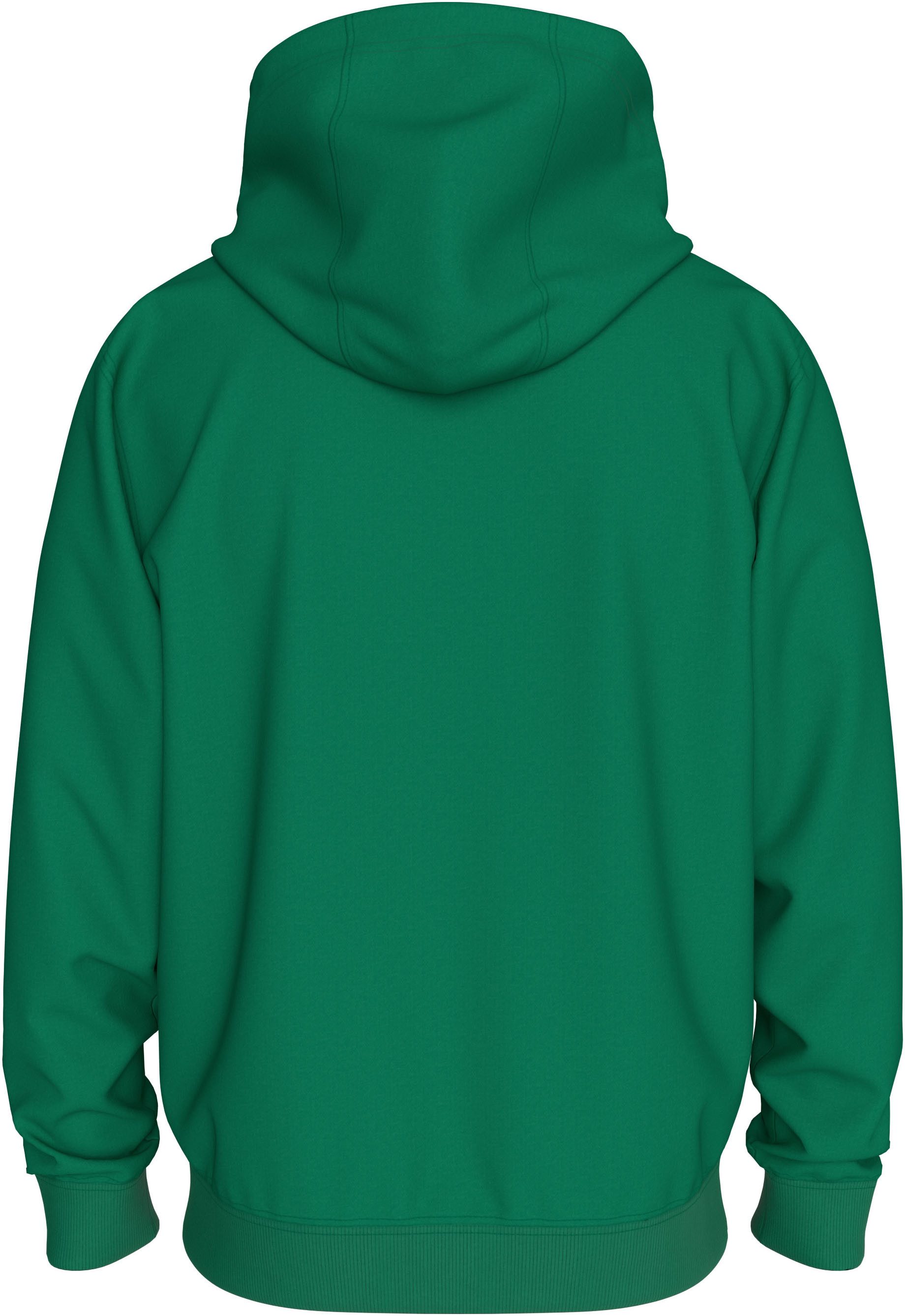 TOMMY JEANS Hoodie TJM REG S FLAG HOODIE