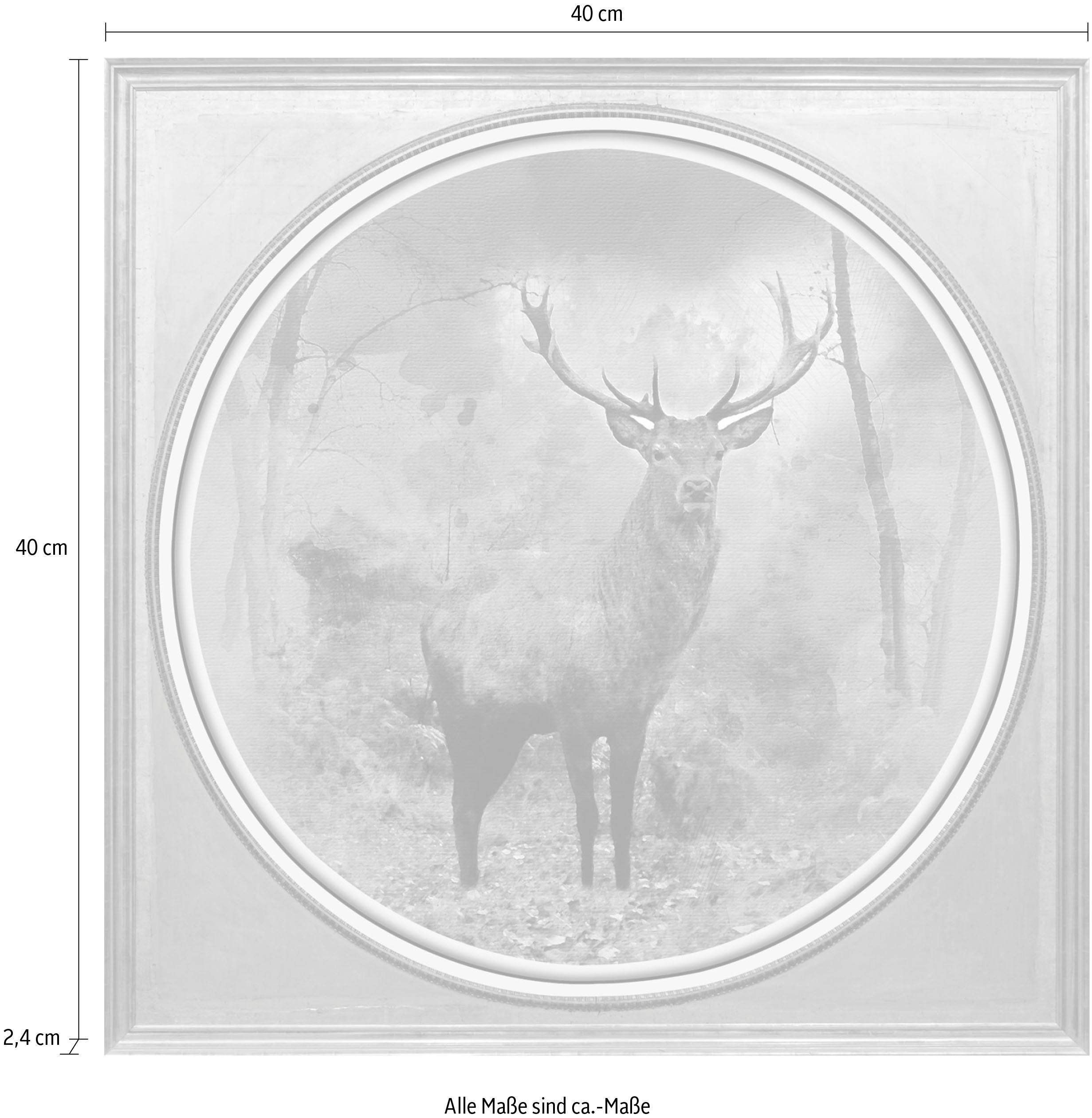 queence Artprint op acrylglas Edelhert Fine Art-print in galeriekwaliteit