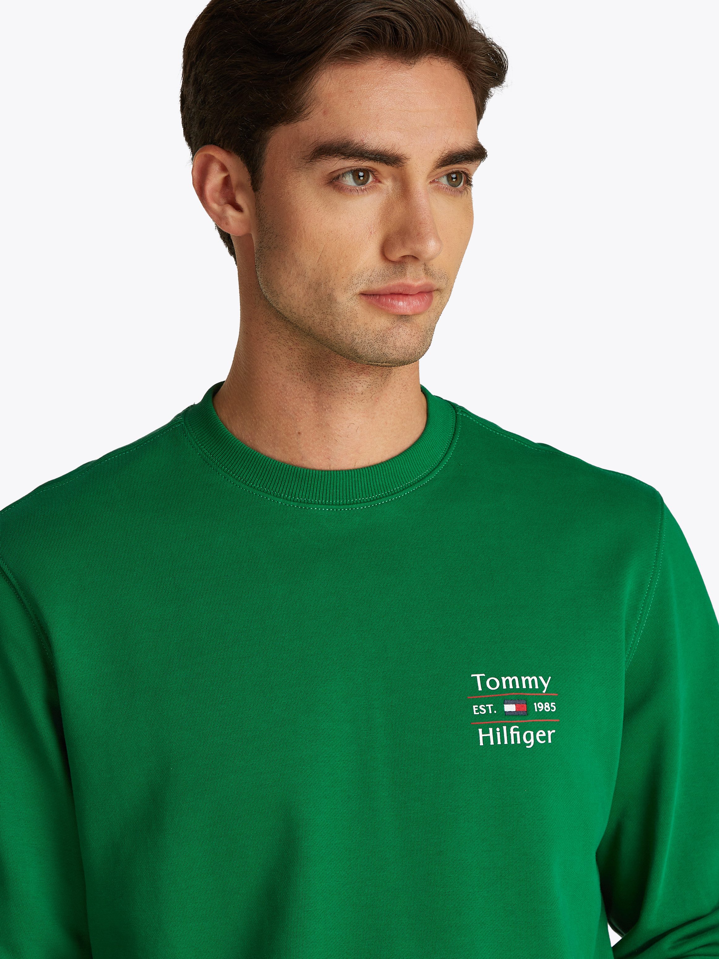 Tommy Hilfiger Sweatshirt HILFIGER STACK SWEATSHIRT