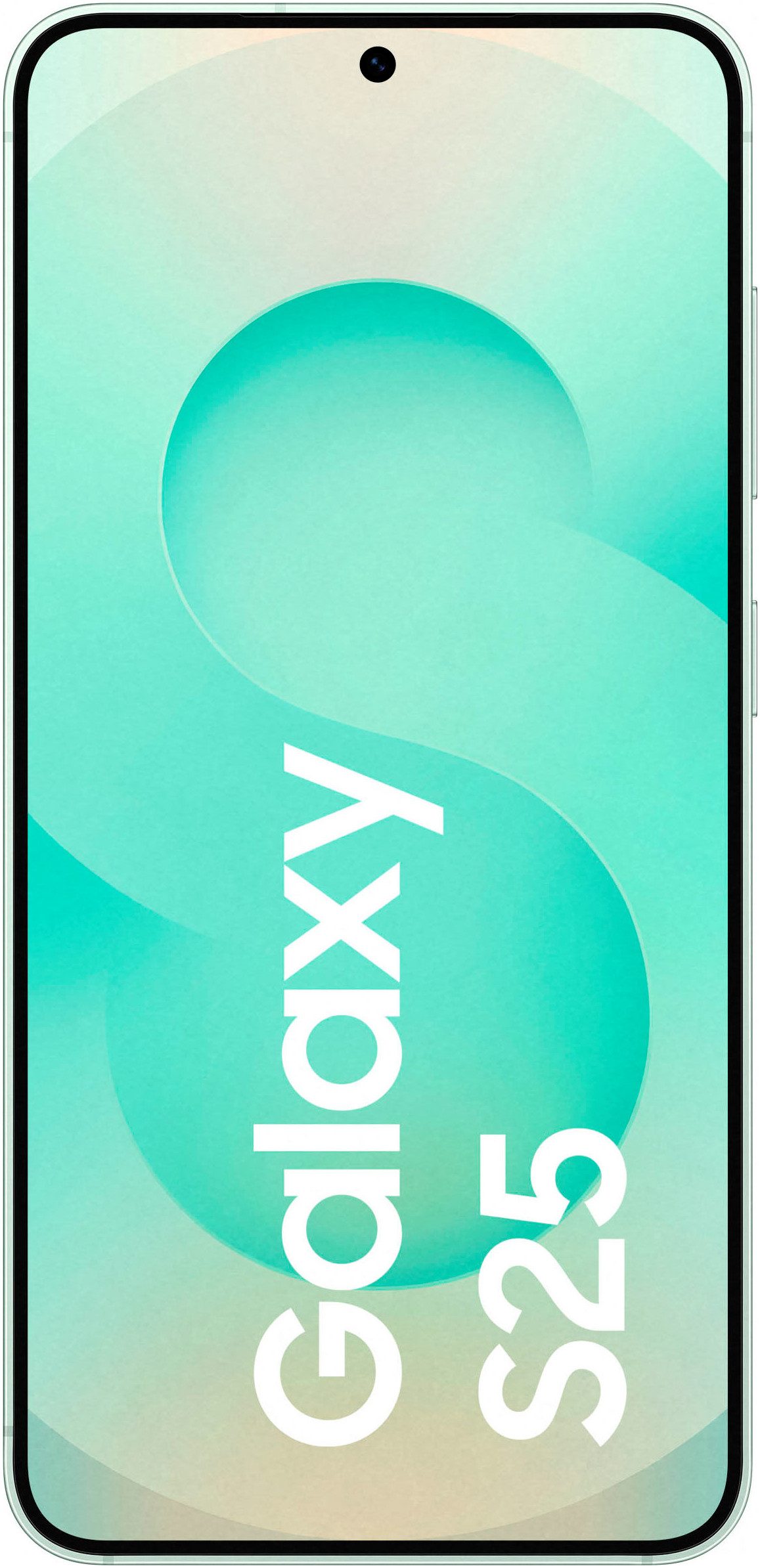 Samsung Smartphone Galaxy S25