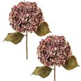 creativ green kunstbloem hortensia set van 3 roze