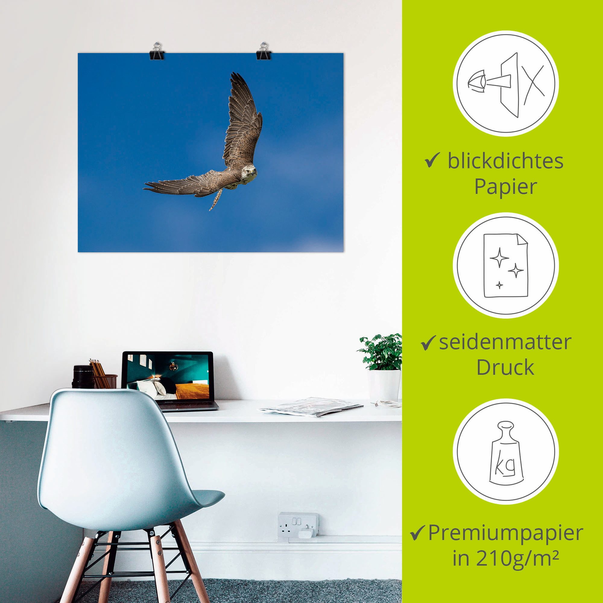 Artland Artprint De valk als artprint op linnen, poster in verschillende formaten maten