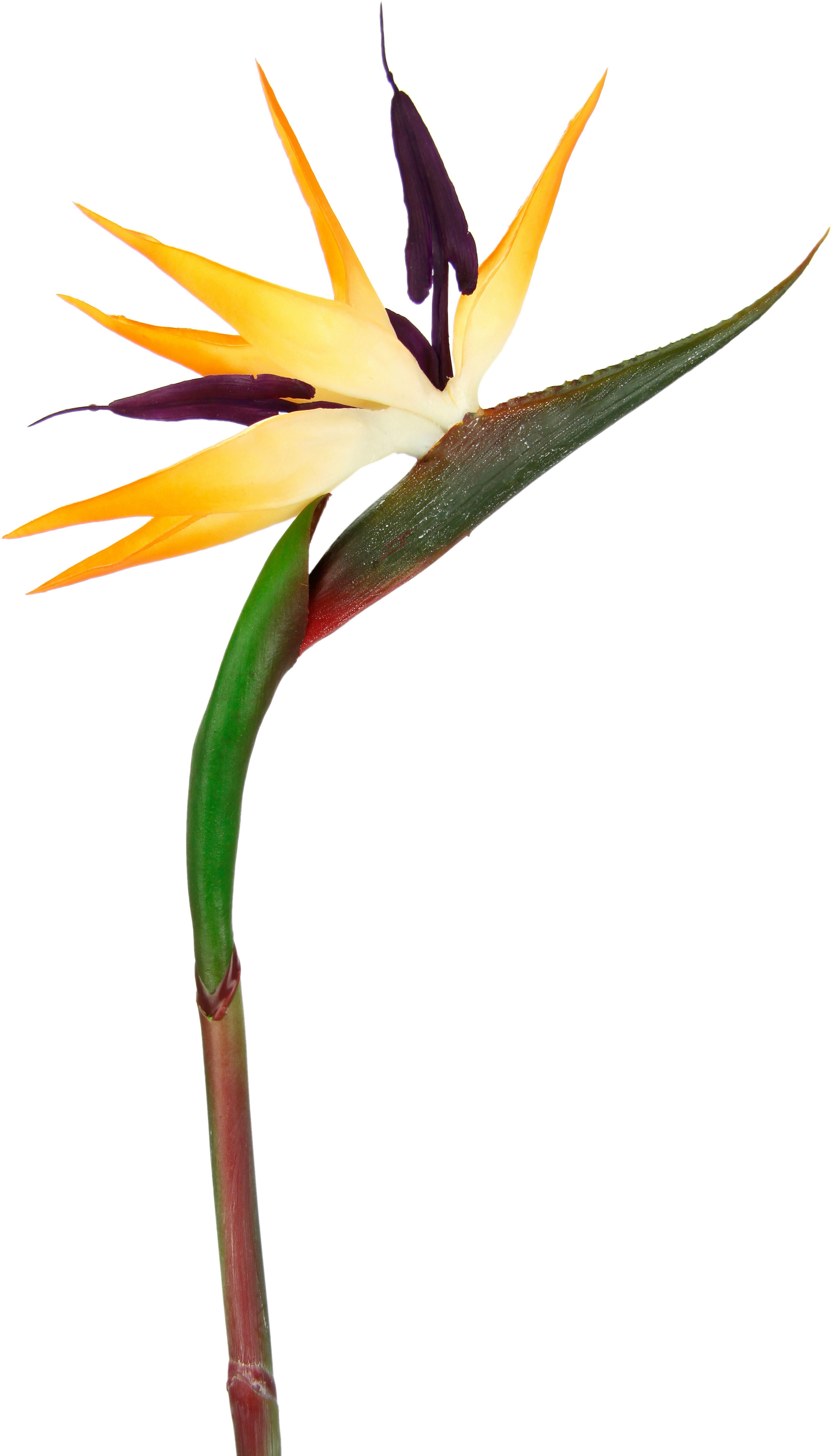 I.GE.A. Kunstbloem strelitzie paradijsvogelbloem exotische decoratieve tak (3 stuks)