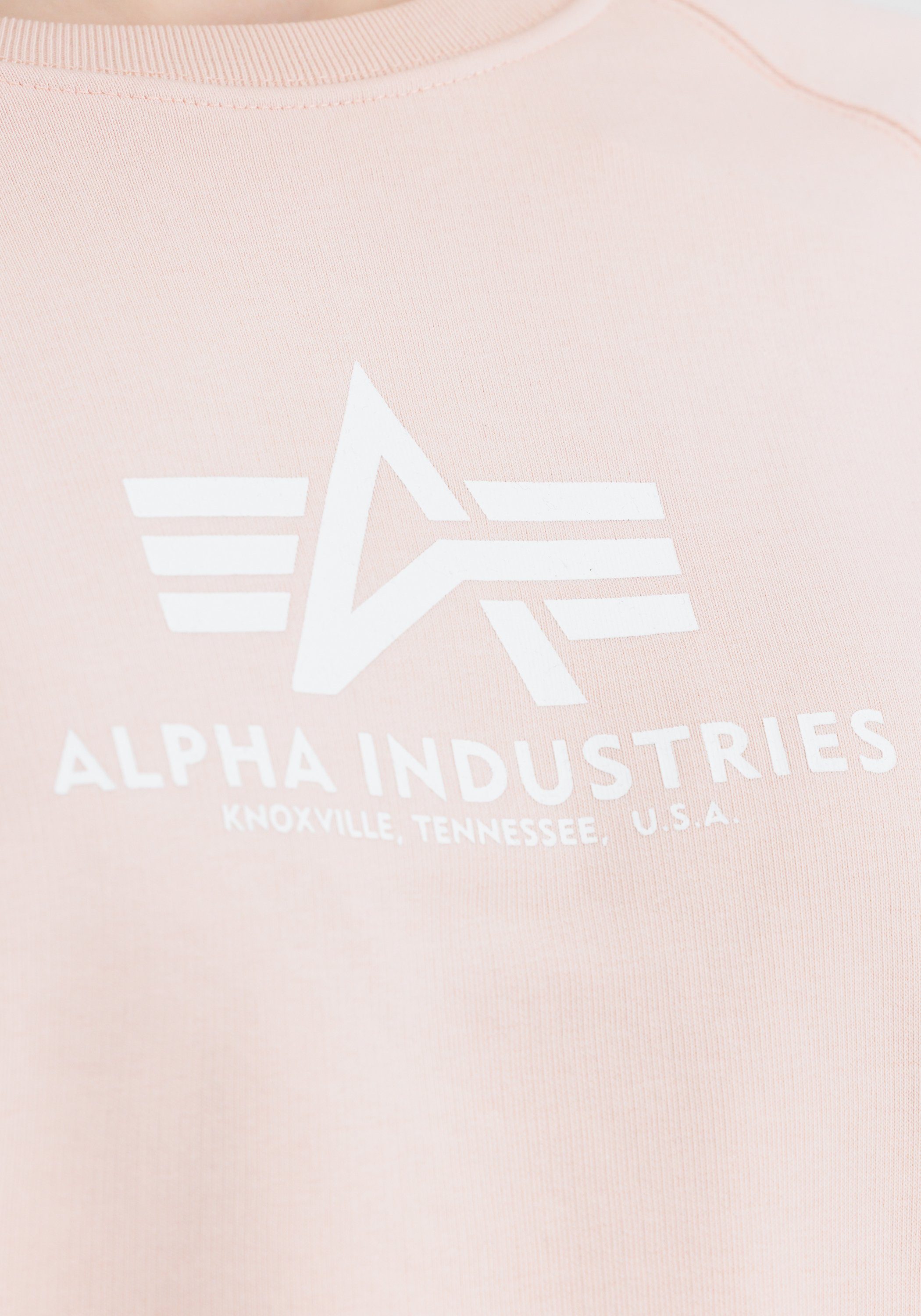 Alpha Industries Sweater Basic Boxy Sweater Women