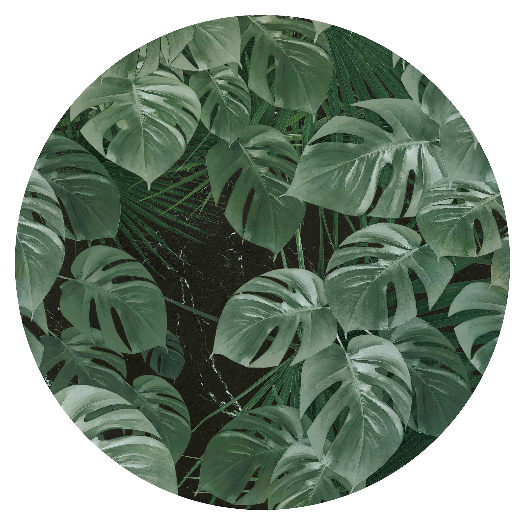komar vliesbehang novel gatenplant 125 x 125 cm (breedte x hoogte), rond en zelfklevend (1 stuk) multicolor