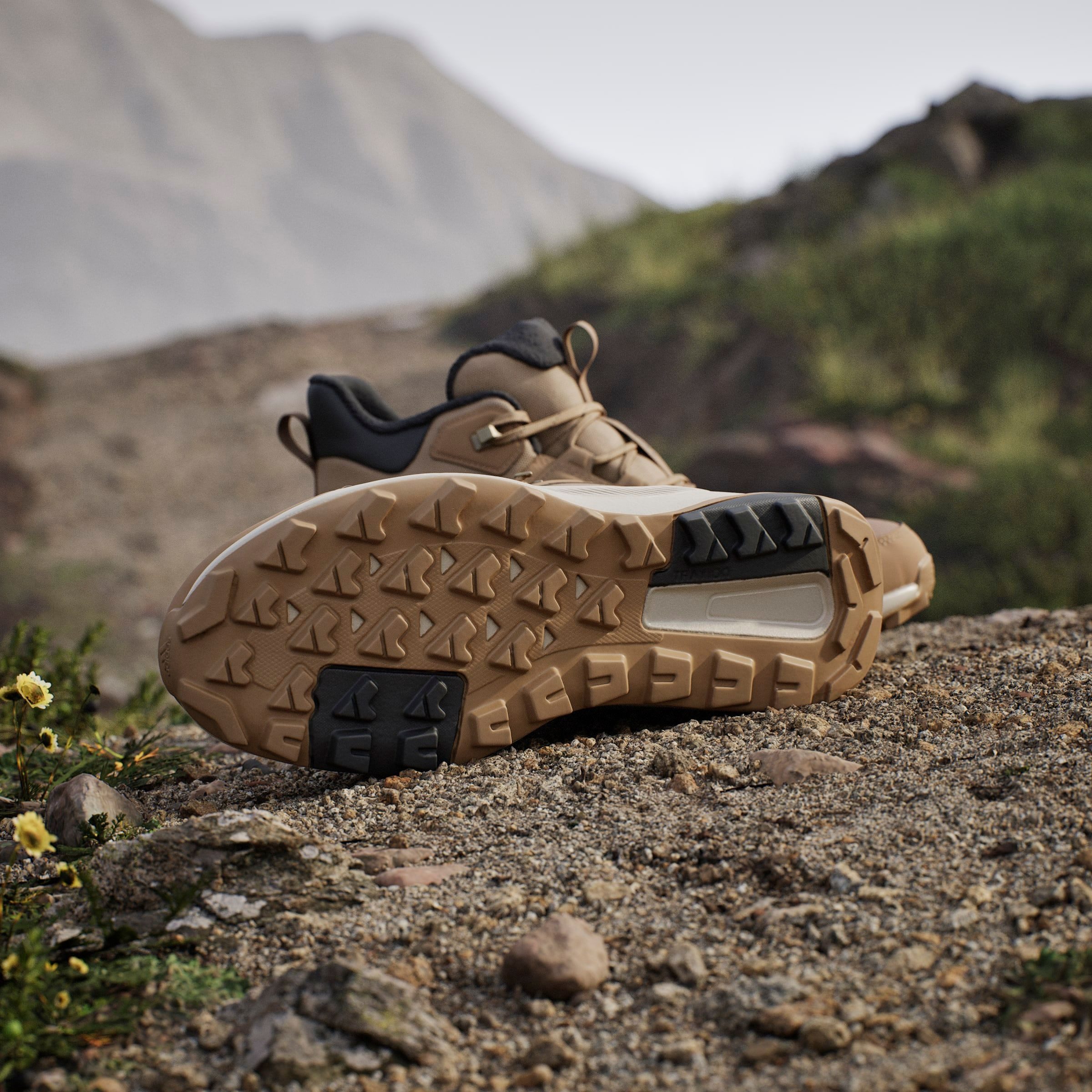 adidas TERREX Wandelschoenen TERREX ANYLANDER CLIMAWARM+ E