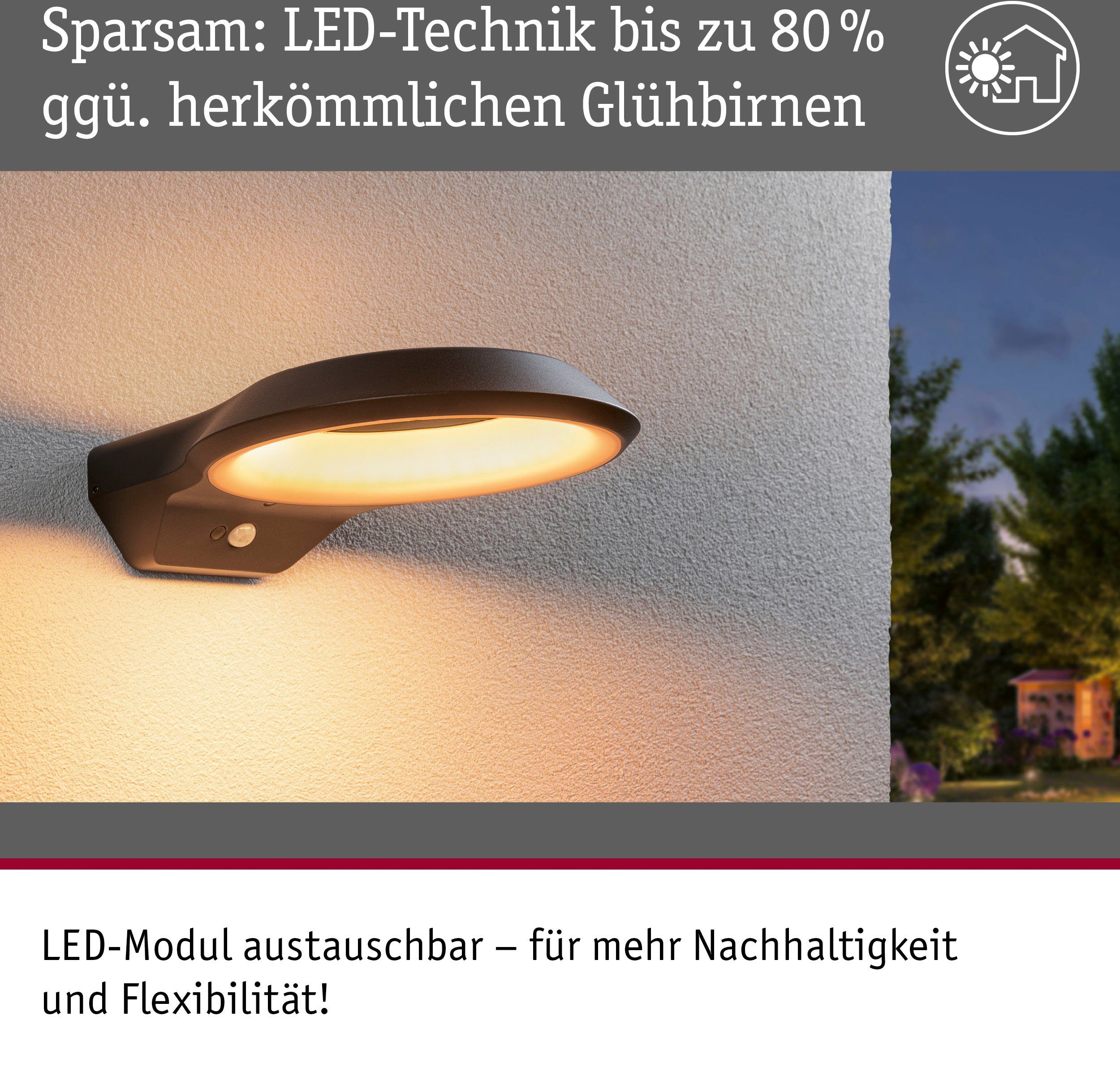Paulmann Led-wandlamp voor buiten Anela 230V insectvriendelijk