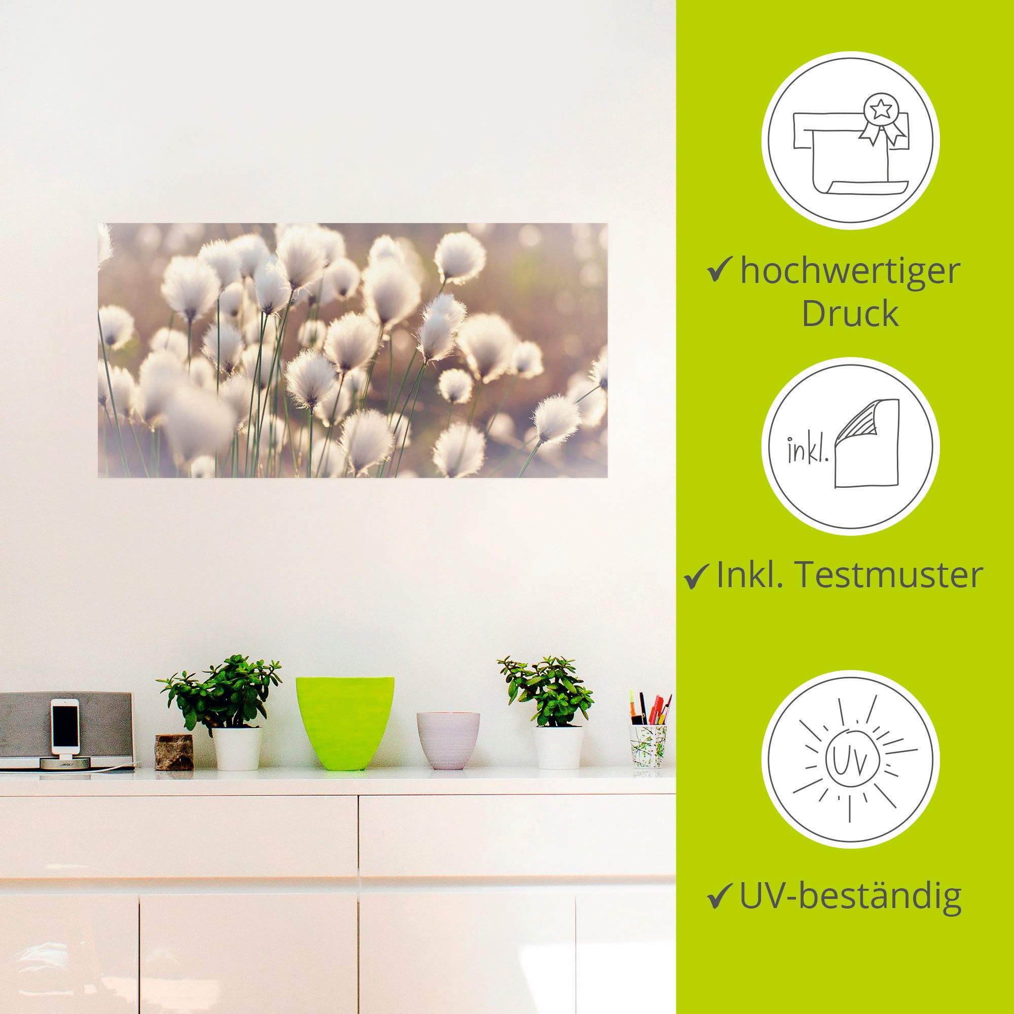 Artland Artprint Wolgrasmagie in het veen als artprint van aluminium, artprint voor buiten, artprint op linnen, poster, muursticker