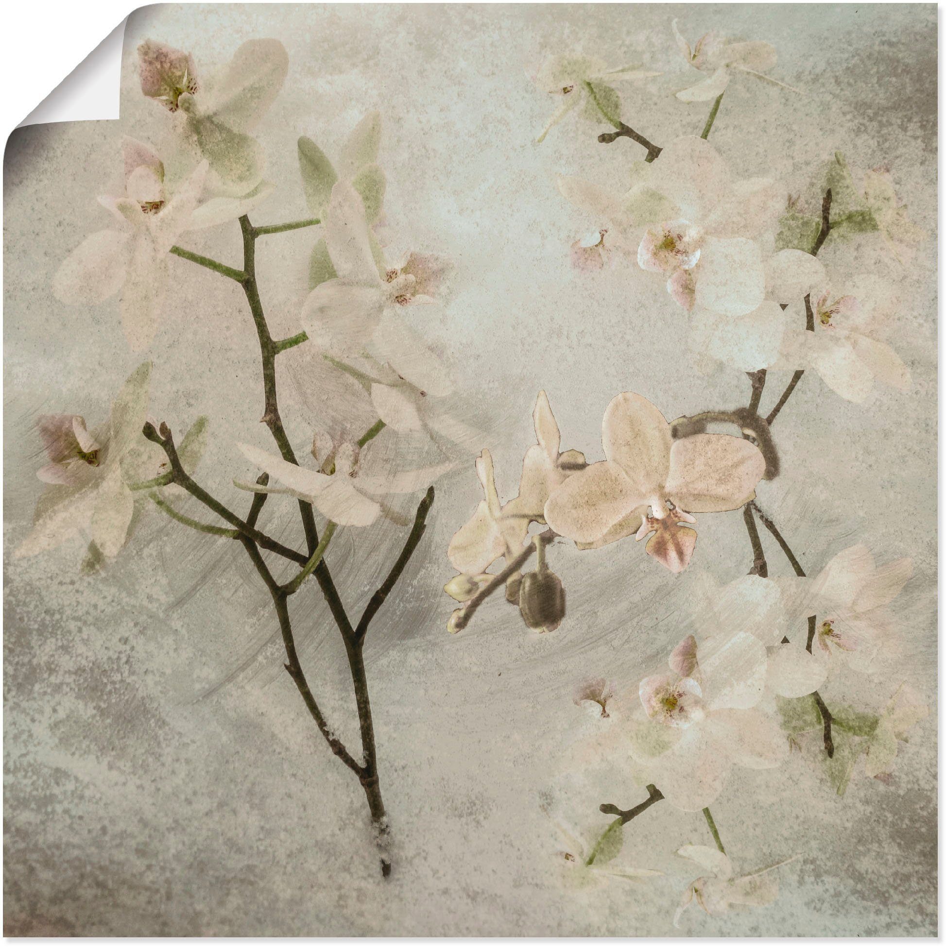 Artland artprint Orchideen