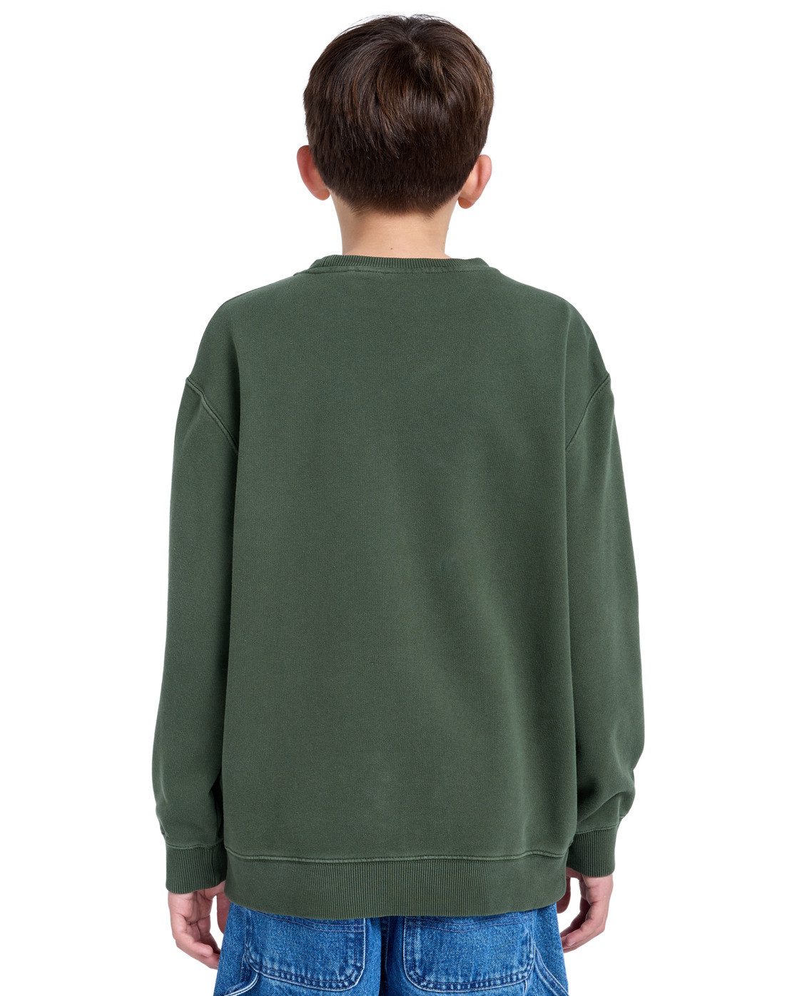 Element Sweatshirt Cornell 3.0