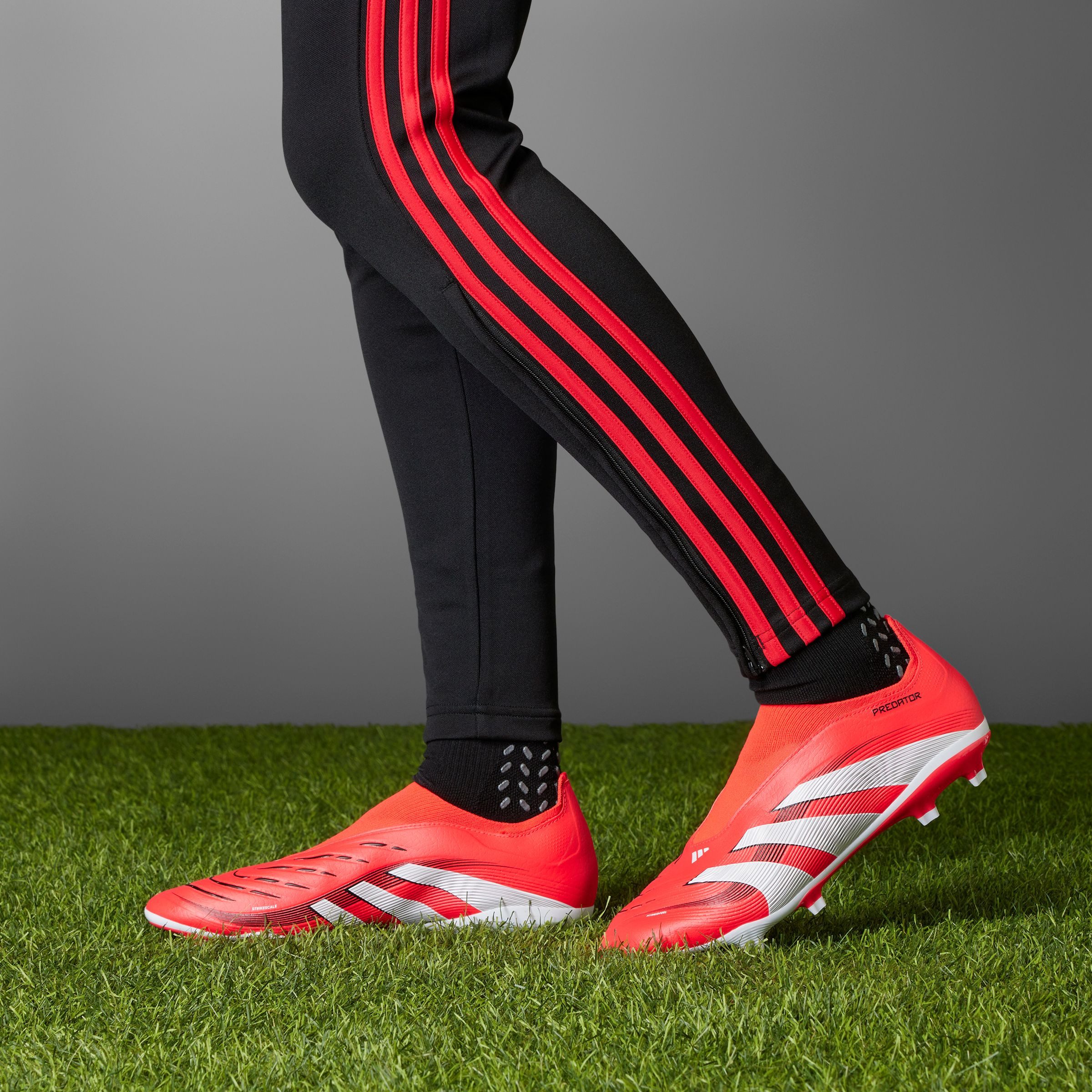 adidas Performance Voetbalschoenen PREDATOR LEAGUE LACELESS FG/MG