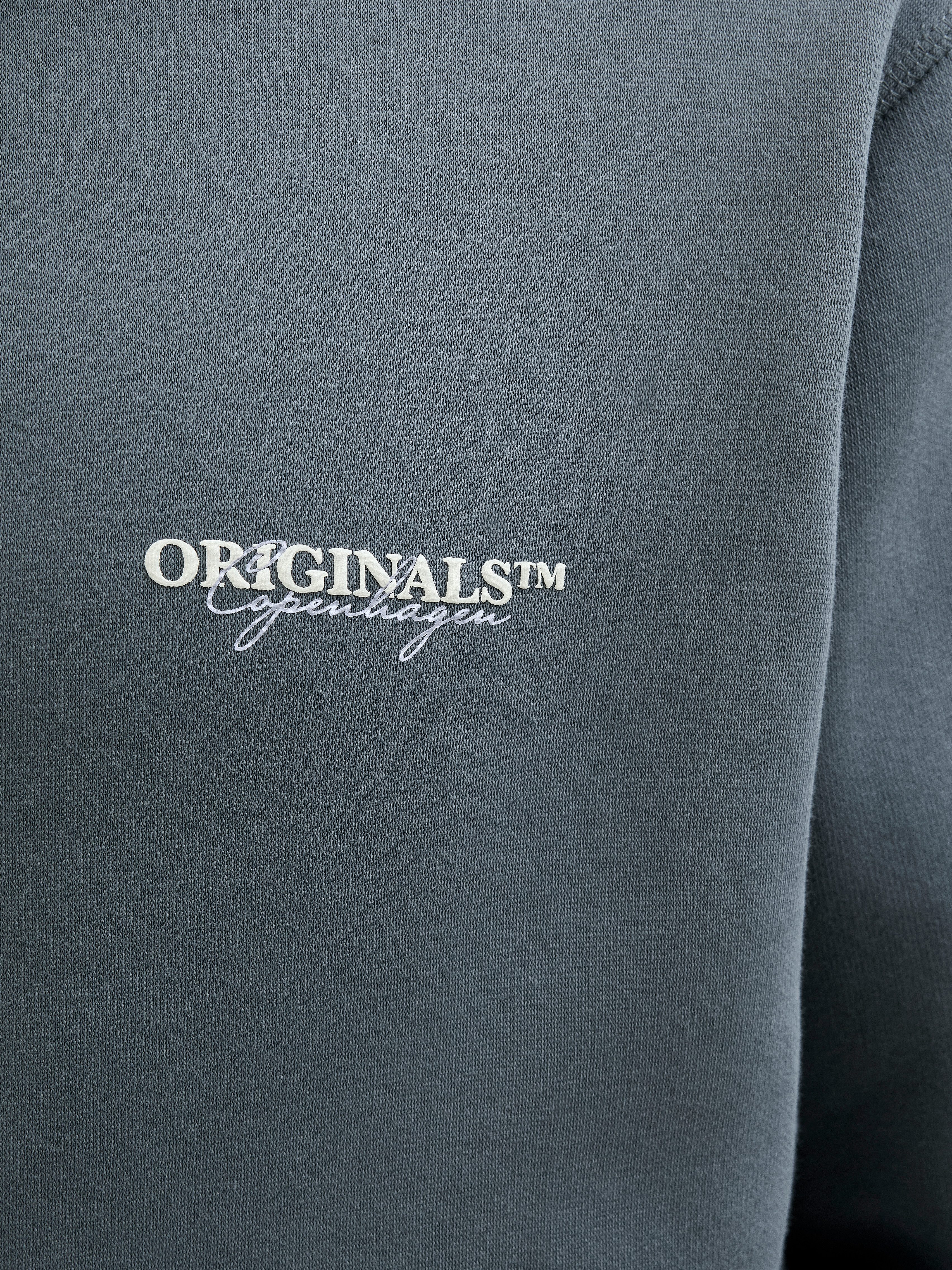 Jack & Jones Hoodie JORISLINGTON BACK SWEAT HOOD SN