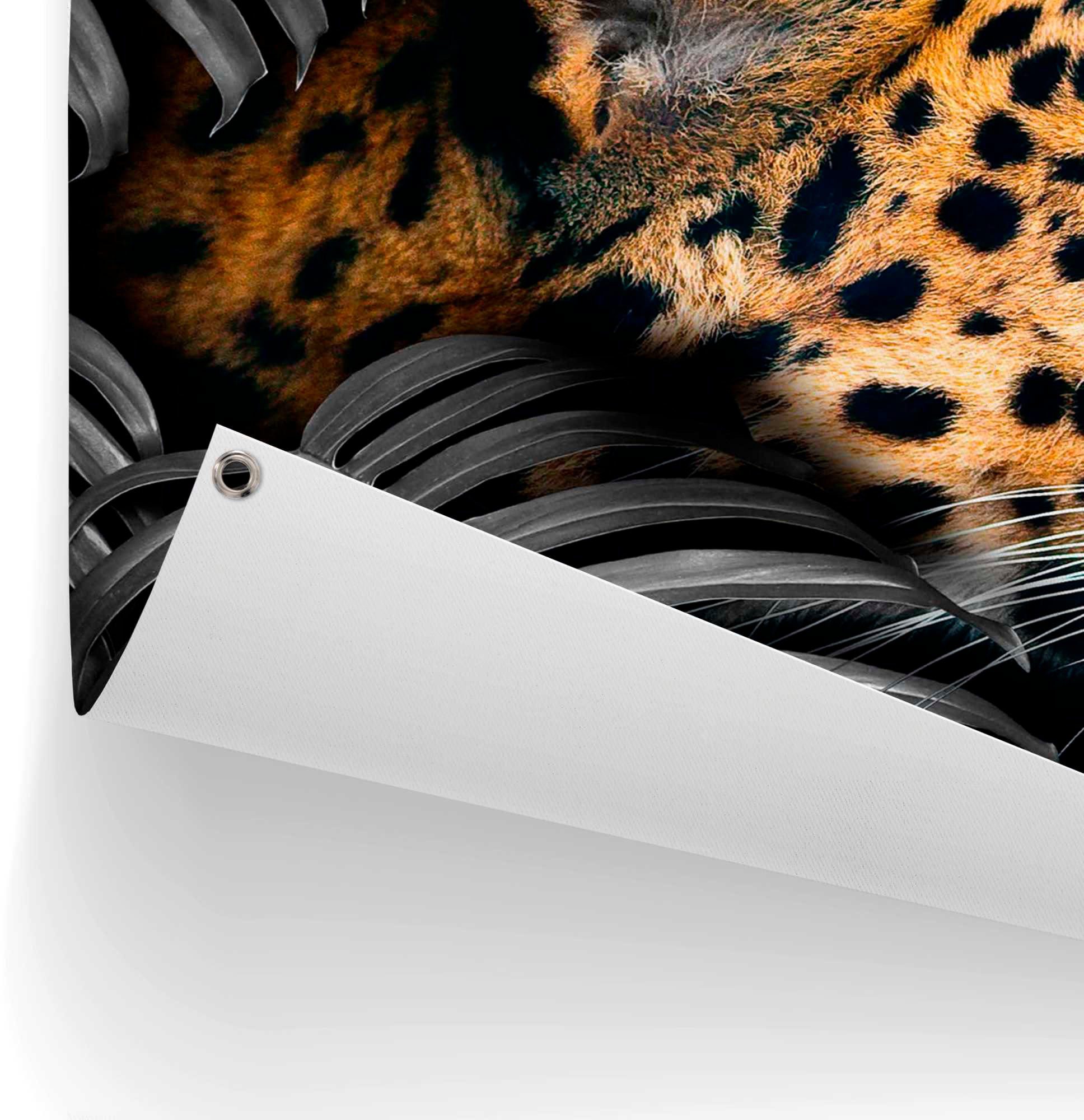 Reinders! Poster Leopard
