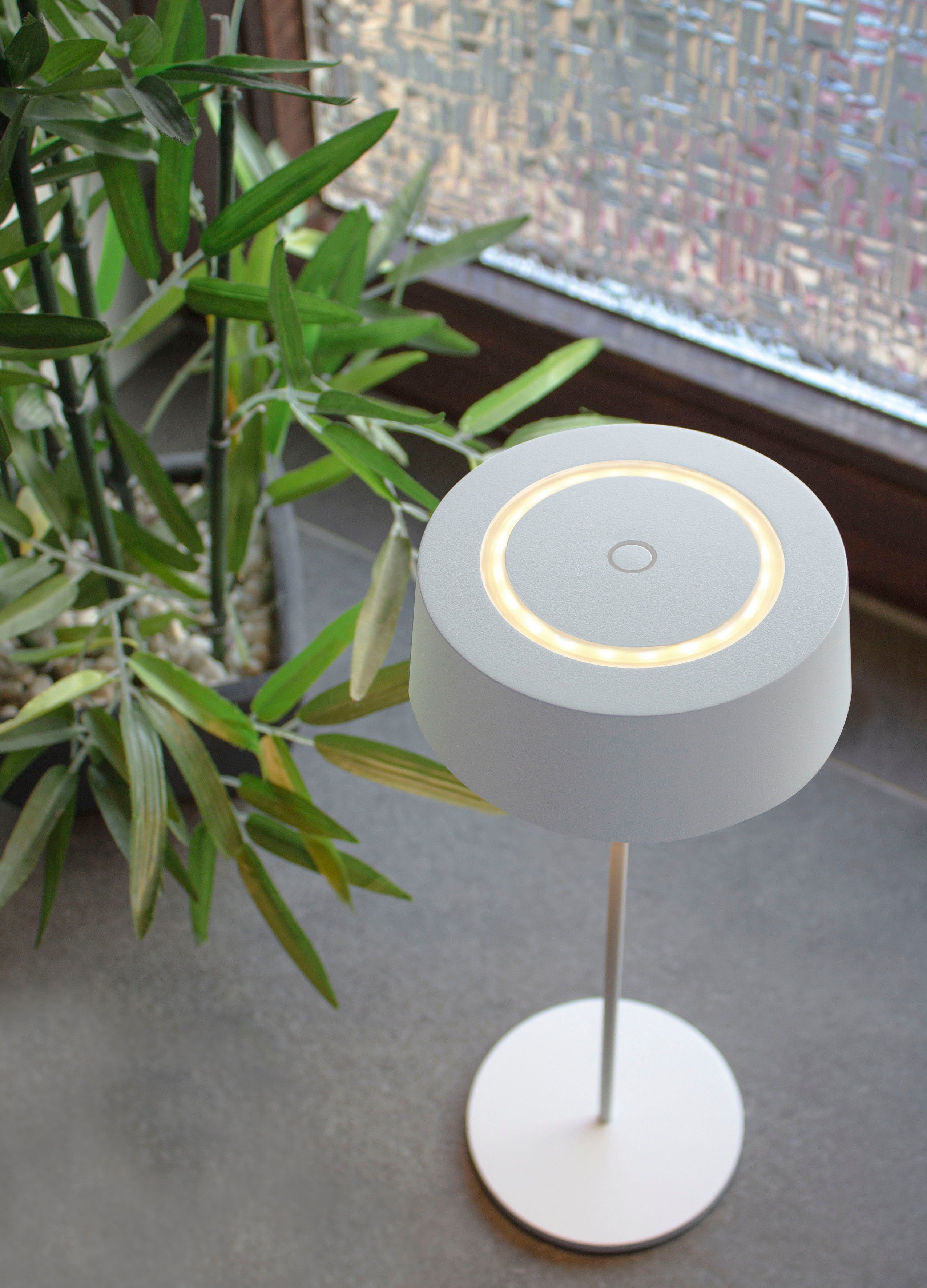ECO-LIGHT Led-tafellamp Cocktail SCHÖNER WOHNEN DESIGN AWARD (1 stuk)
