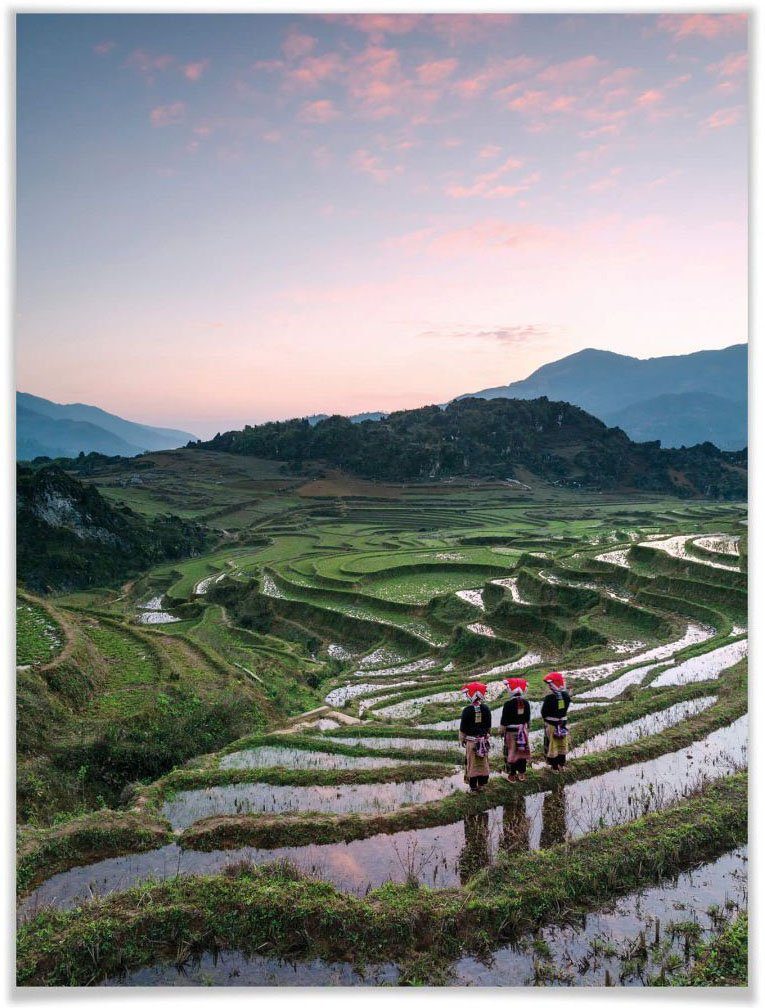 Wall-Art poster Reisterrassen Vietnam