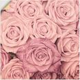 artland artprint rosen als artprint op linnen, muursticker in verschillende maten roze