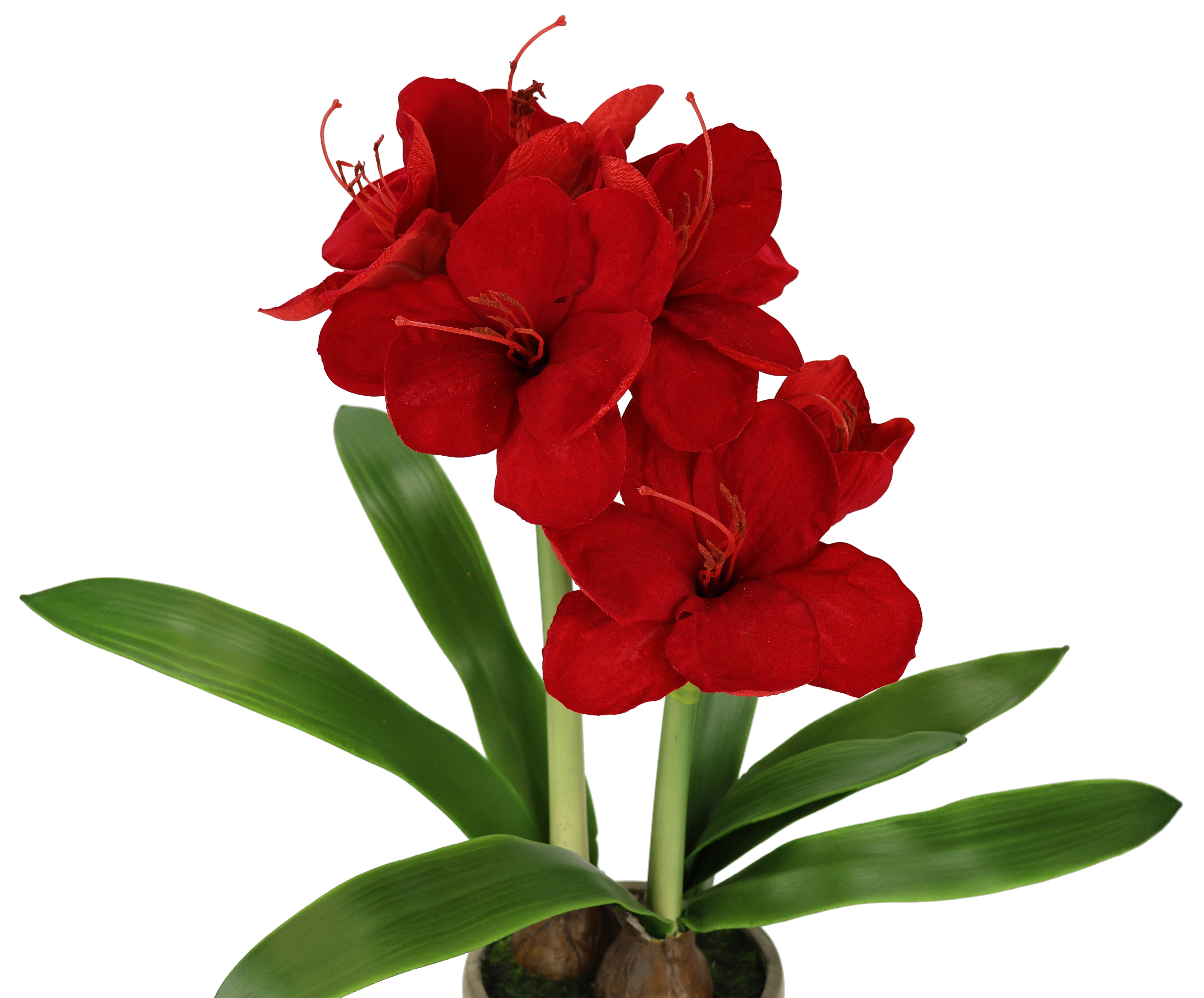 I.GE.A. Kunstbloem Amaryllis in pot 50cm bloem kerstbloem kerstdecoratie winterbloem floristik (1 stuk)