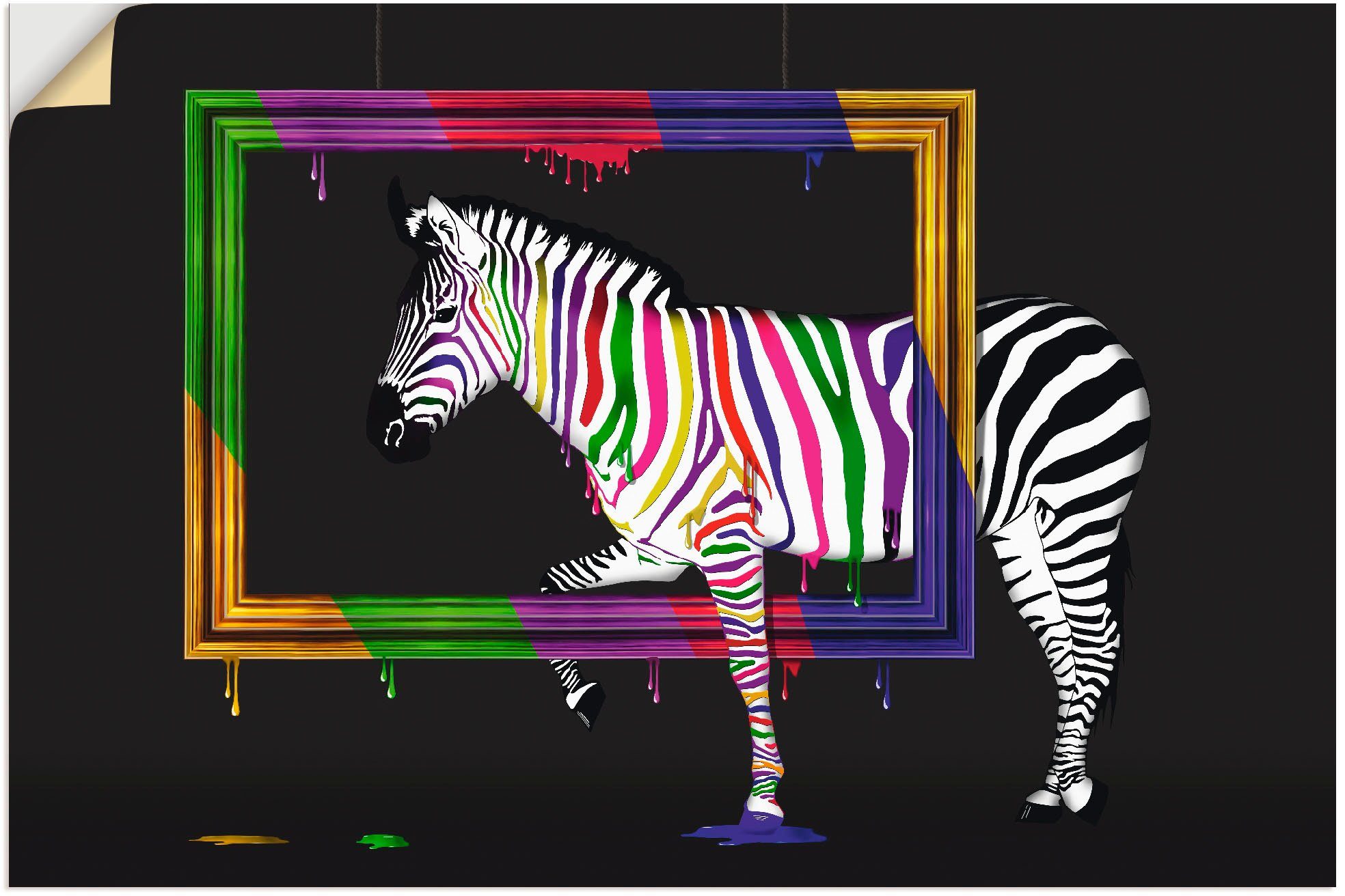 Artland Artprint De regenboog zebra in vele afmetingen & productsoorten - artprint van aluminium / artprint voor buiten, artprint op linnen, poster, muursticker / wandfolie ook ges