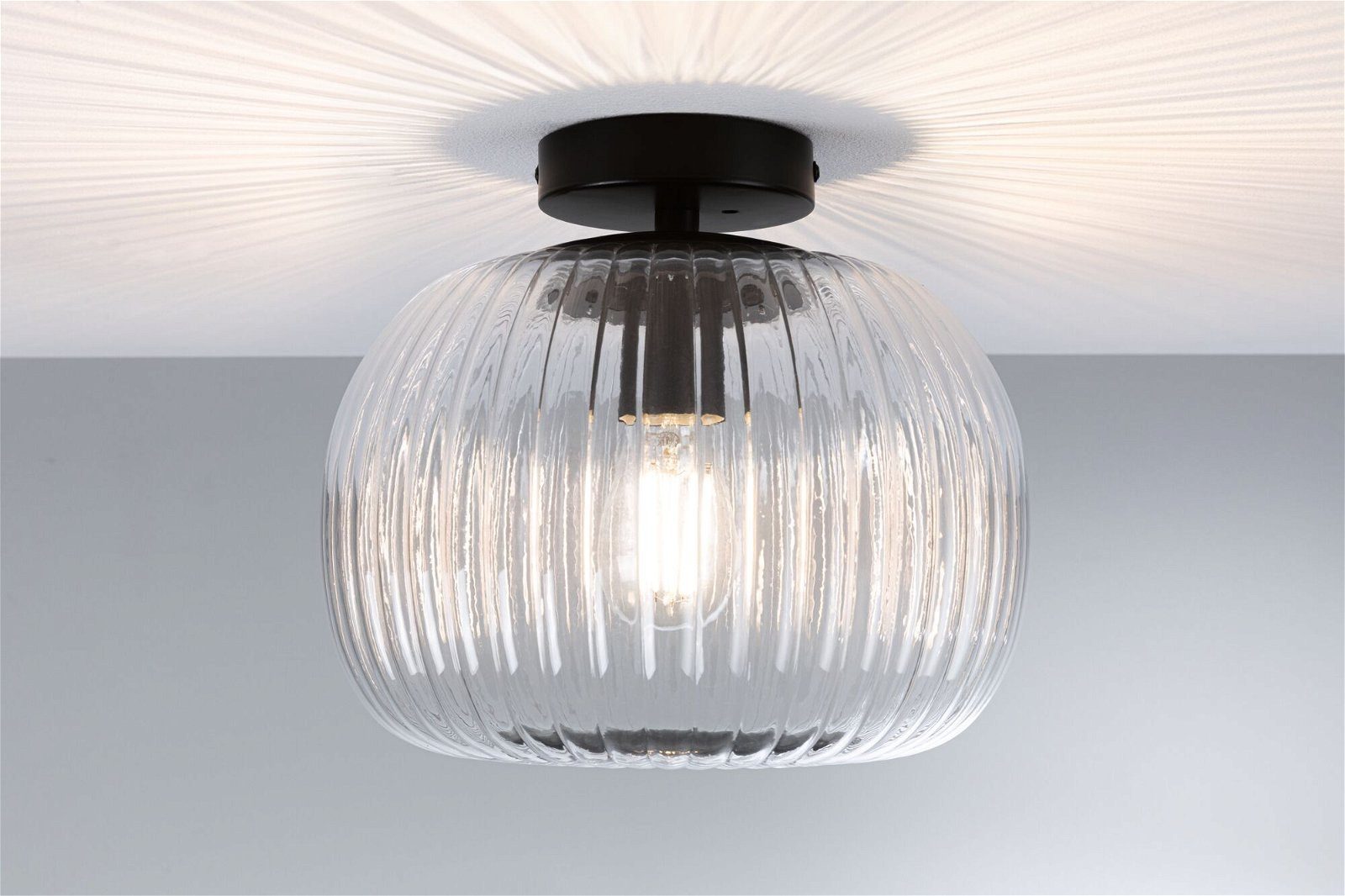 Paulmann Plafondlamp Ruya IP44 E27 230V max. 60W Glas, Zwart mat (1 stuk)
