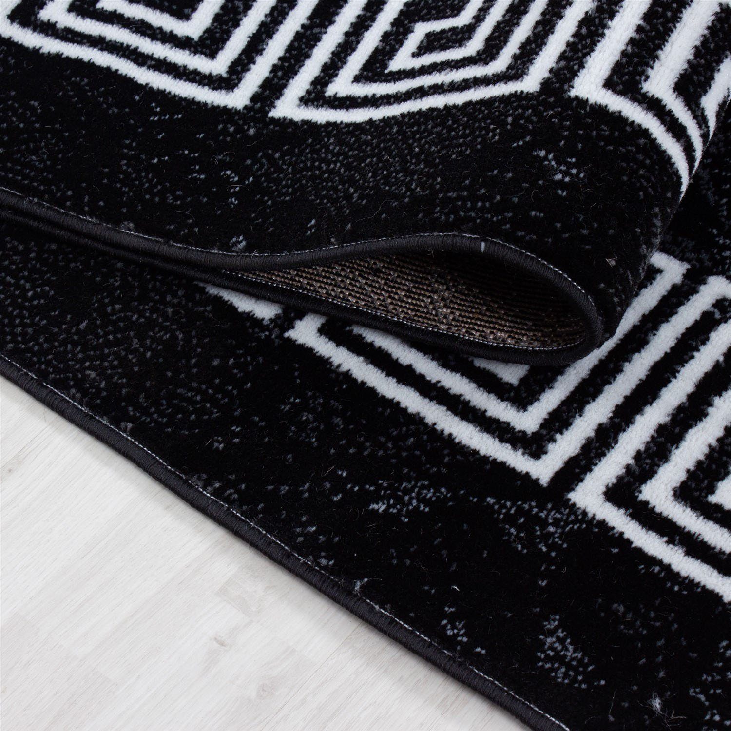 Ayyildiz Teppiche Vloerkleed PLUS 8009