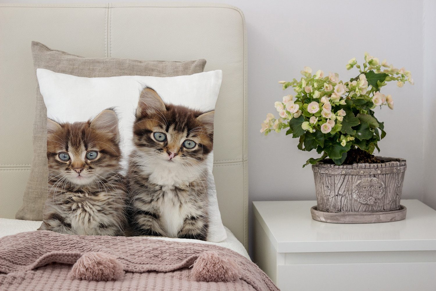 queence Sierkussen Patrick Kussenhoes, katten, dierenmotief, schattig, speels, huisdieren, decoratief (1 stuk)