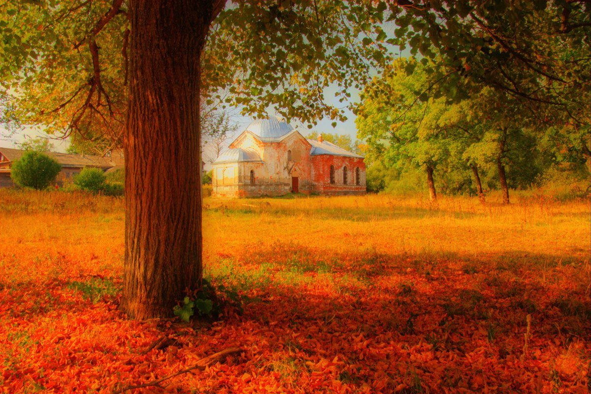 Papermoon Fotobehang Russische Herbstlandschaft
